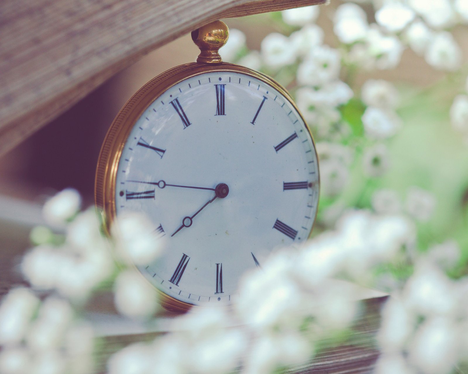 小清新,清新,唯美,物语,静物,治愈系,温暖,慢生活,表,怀表