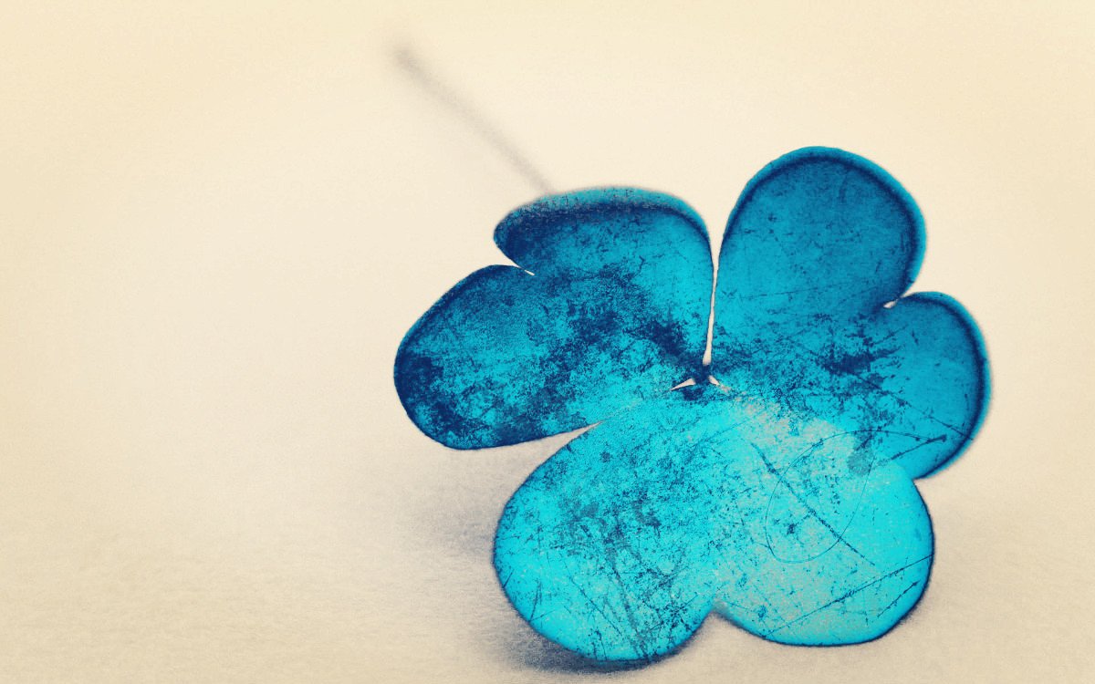 小清新,唯美,浪漫,温暖,温馨,干净,治愈系,慢生活,治愈,美好,走不出的回忆,花