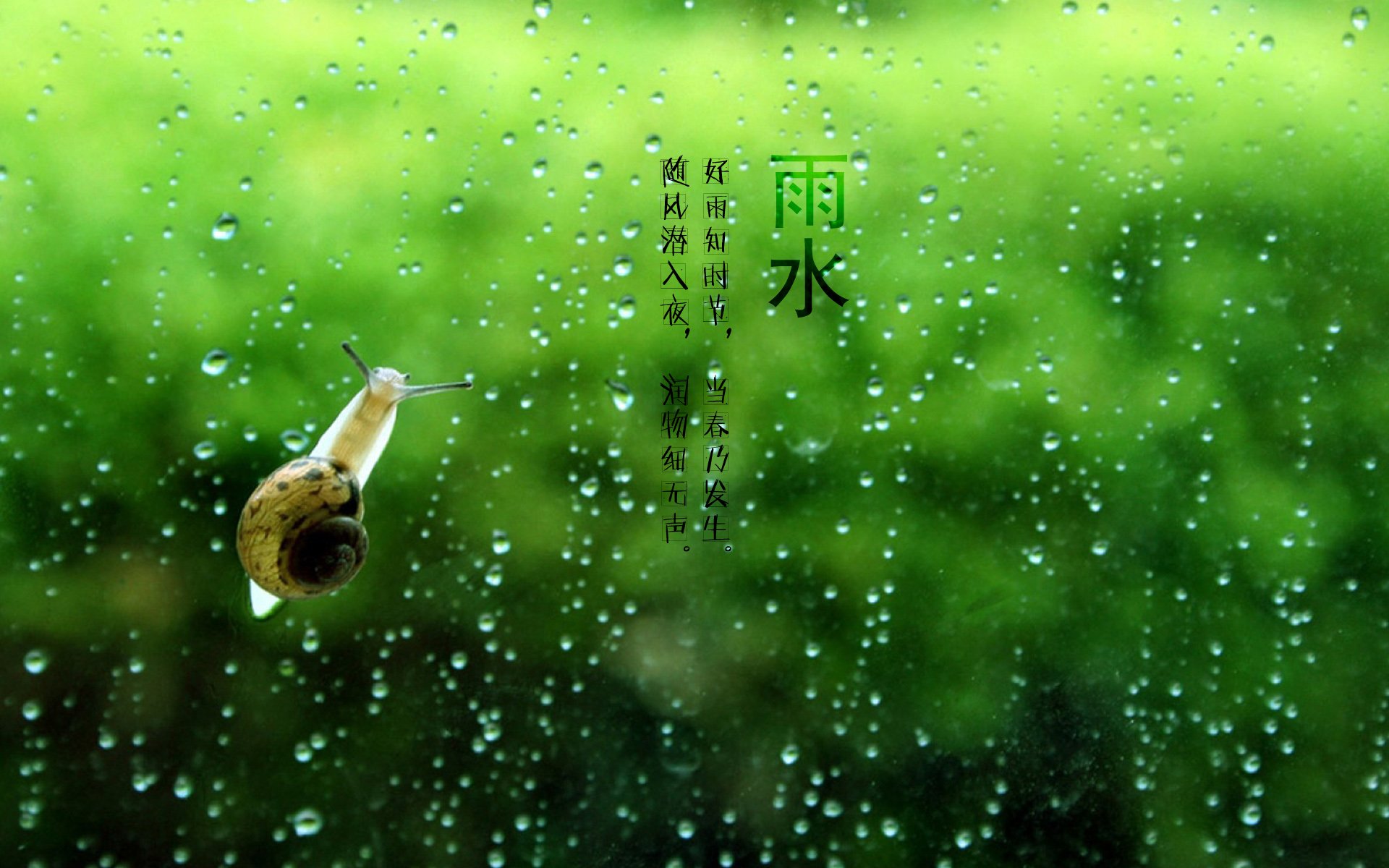 二十四节气,24节气,节气,风景,自然,风光,节日,雨水