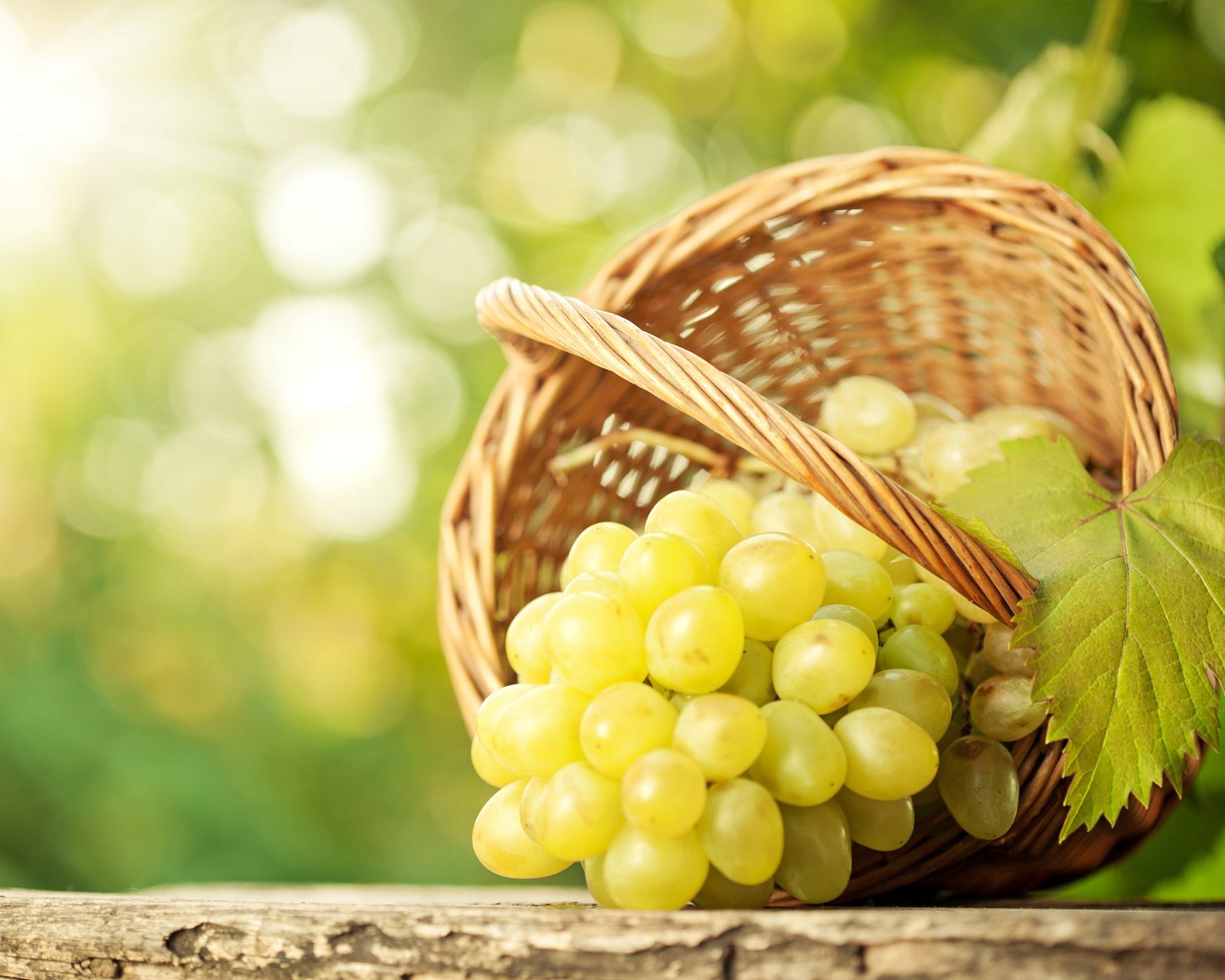 小清新,清新,唯美,物语,静物,治愈系,温暖,慢生活,葡萄