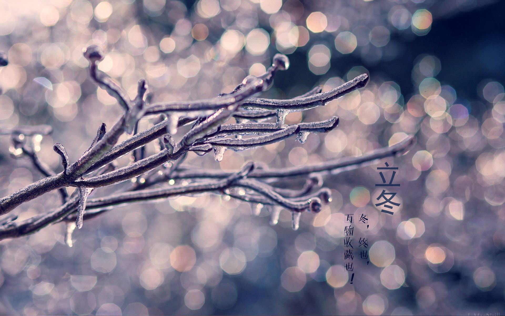 二十四节气,24节气,节气,风景,自然,风光,节日,立冬