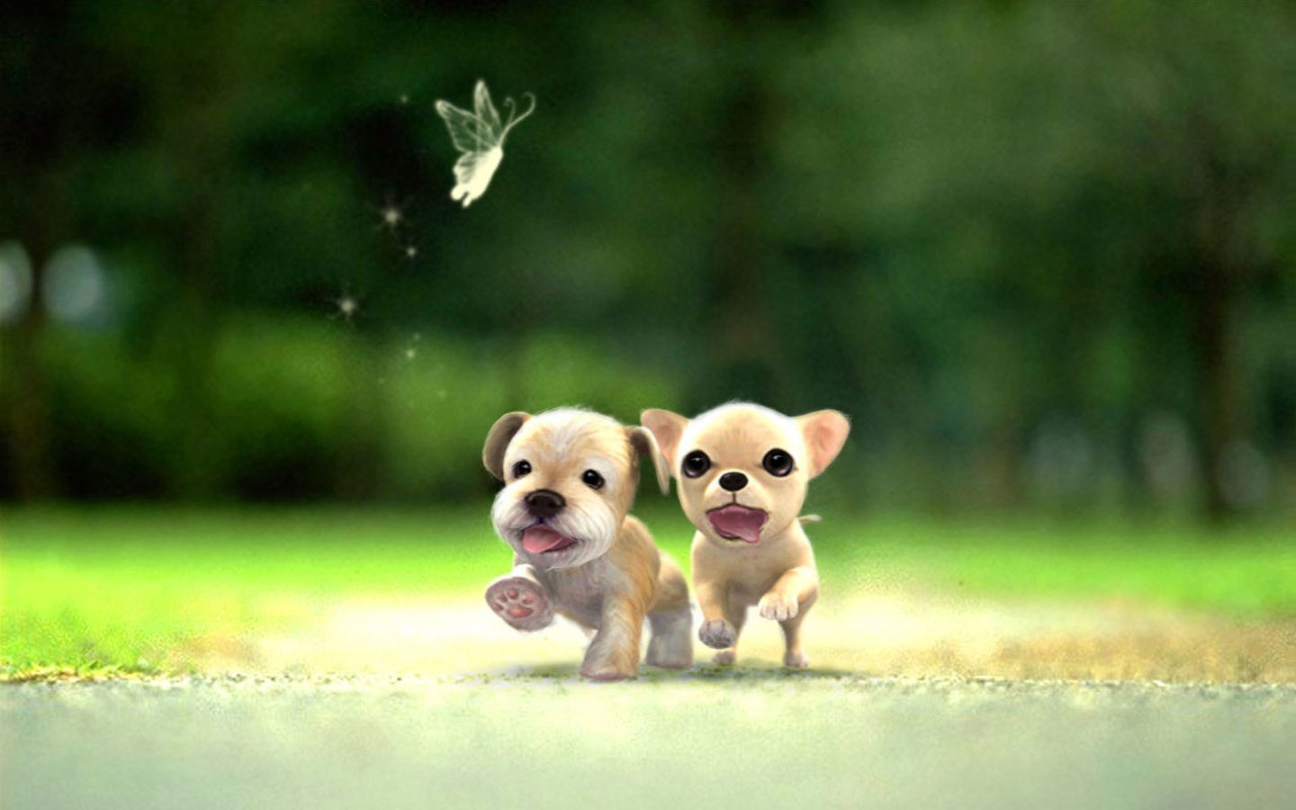 动物,萌,宠物,狗