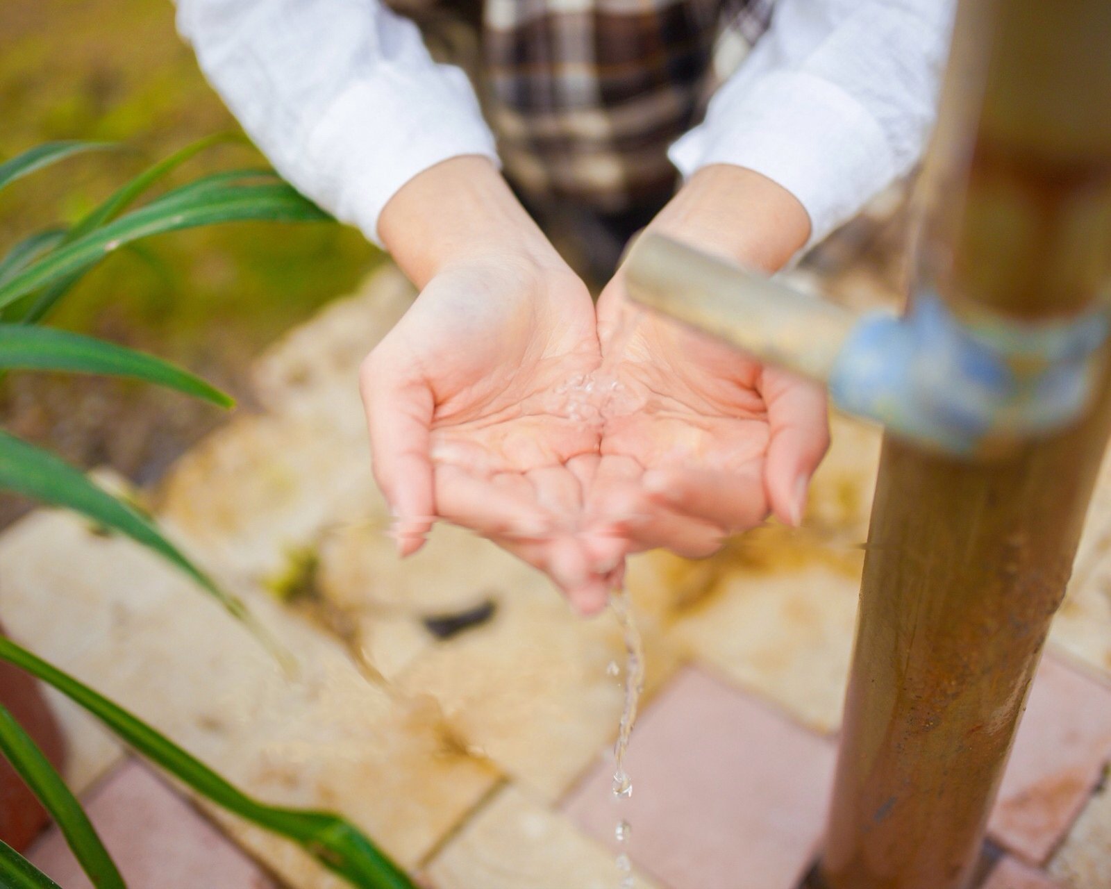 小清新,清新,唯美,物语,静物,治愈系,温暖,慢生活,手,水