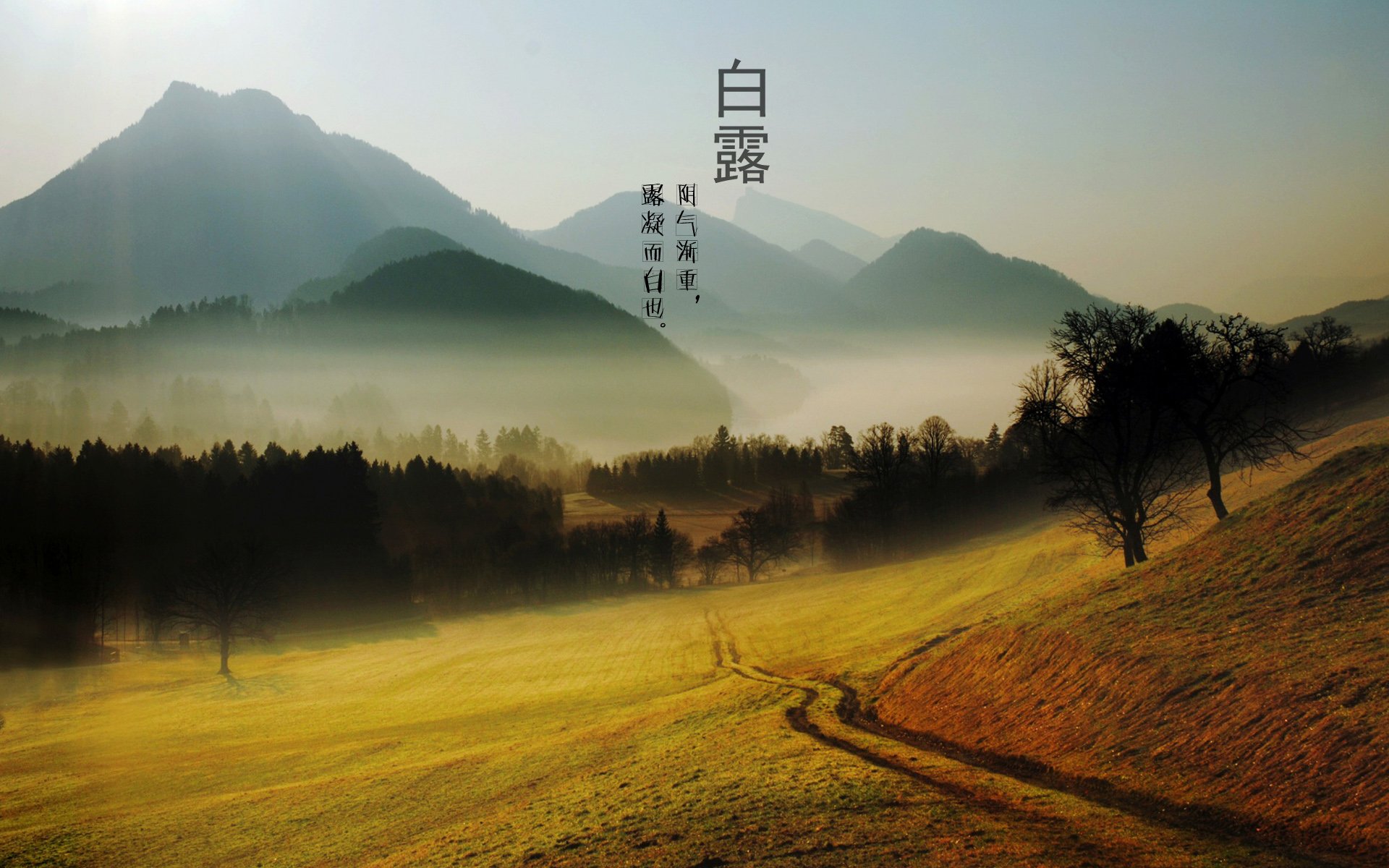 二十四节气,24节气,节气,风景,自然,风光,节日,白露