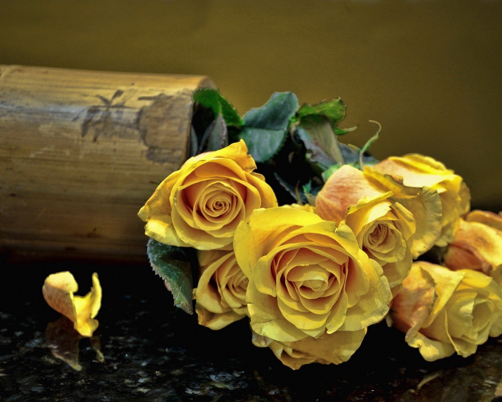 小清新,唯美,浪漫,温暖,温馨,干净,治愈系,慢生活,治愈,美好,花,春天,阳光,一场花开