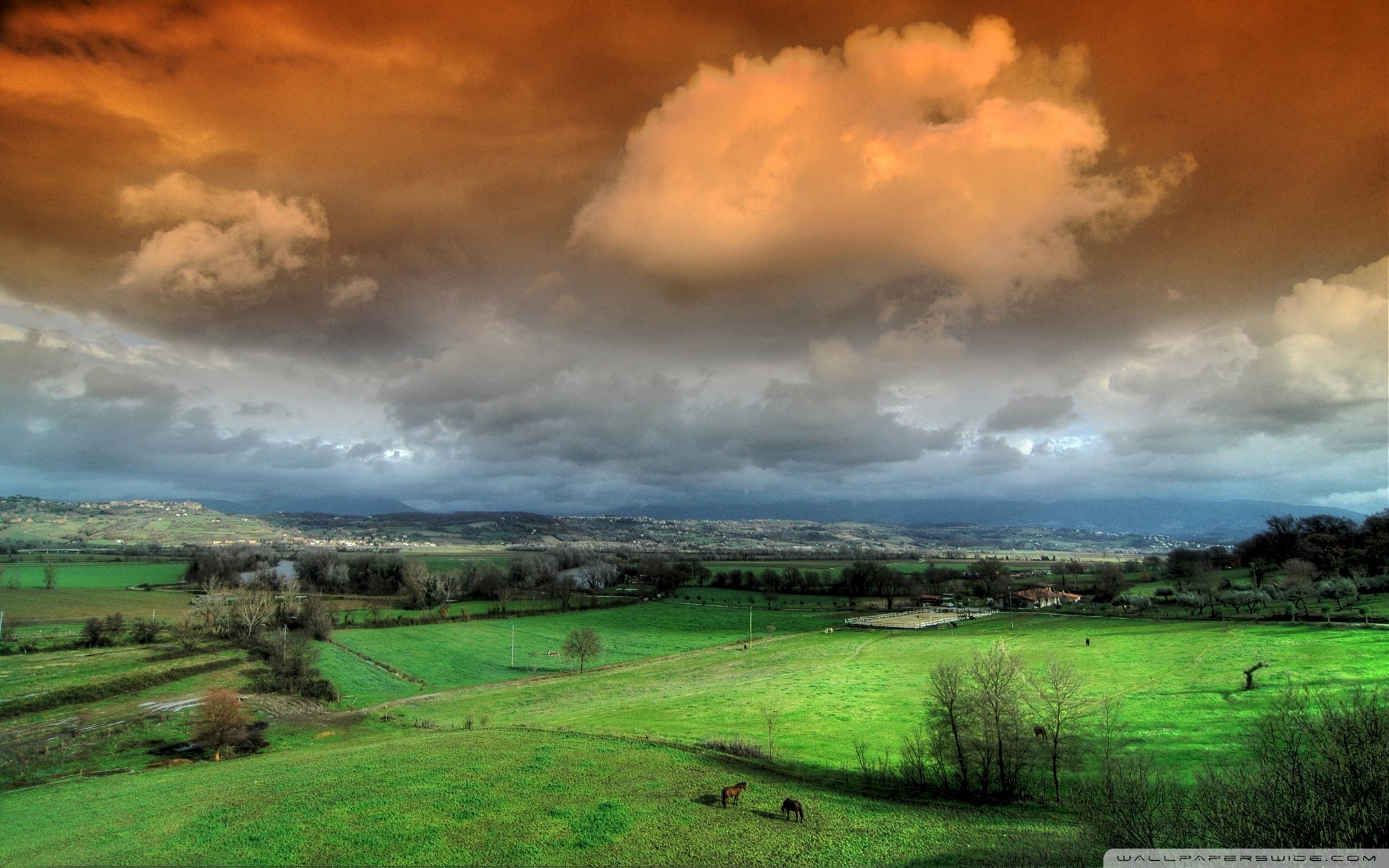风景,自然,风光,天空,白云,蓝天,草原,绿色