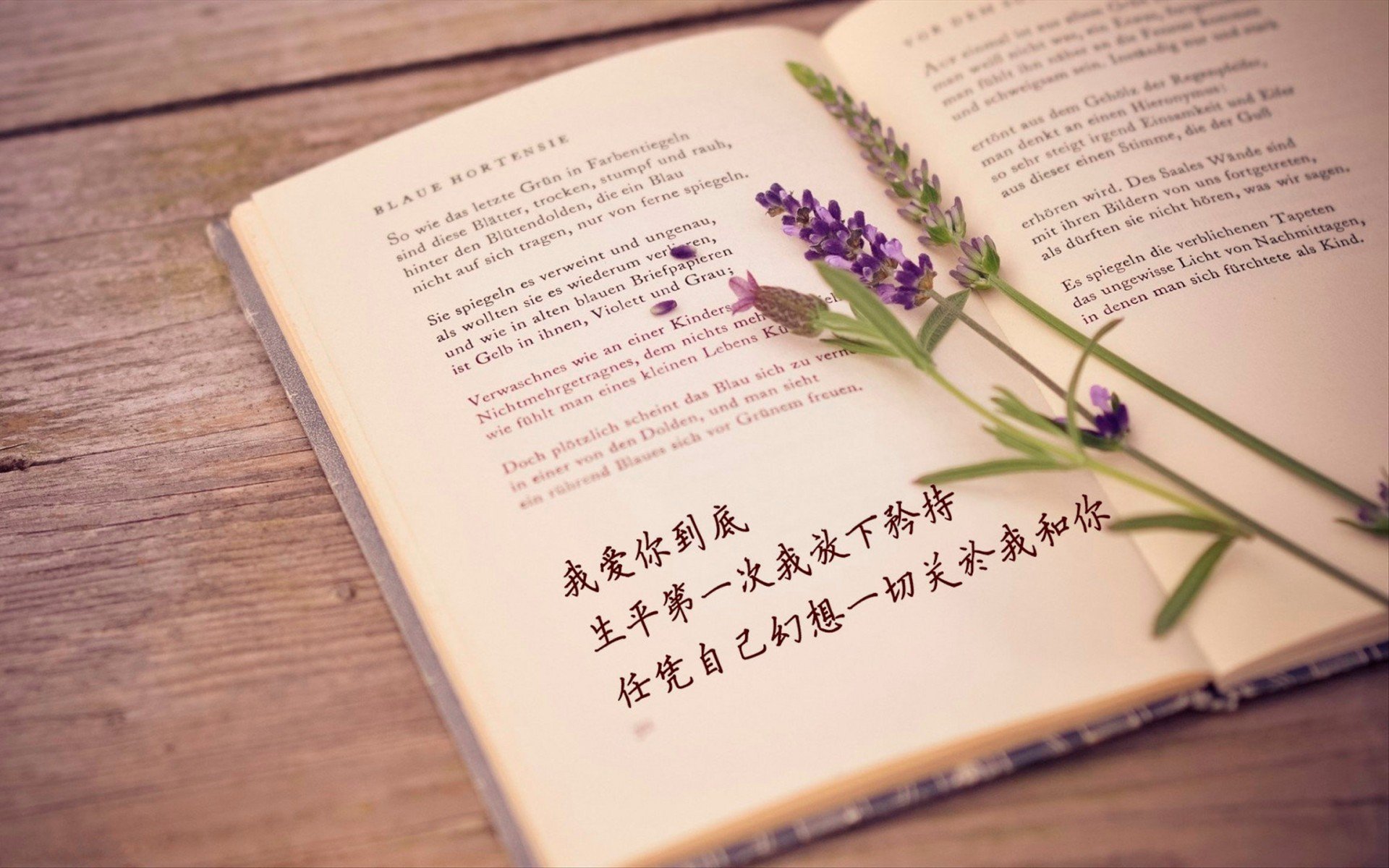 浪漫,爱情,情感,爱,love,唯美,清新,文字,爱情箴言,英文