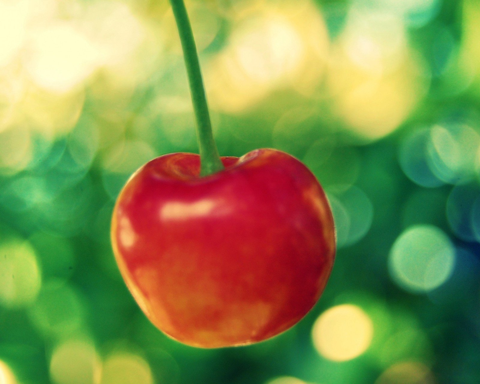 小清新,清新,唯美,物语,静物,治愈系,温暖,慢生活,樱桃,水果