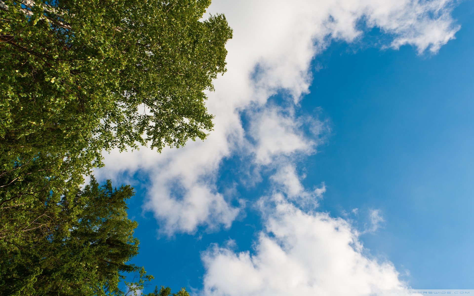 天空,唯美,蓝天白云,晴朗,清新,意境,温暖,安静,晴天,等风来