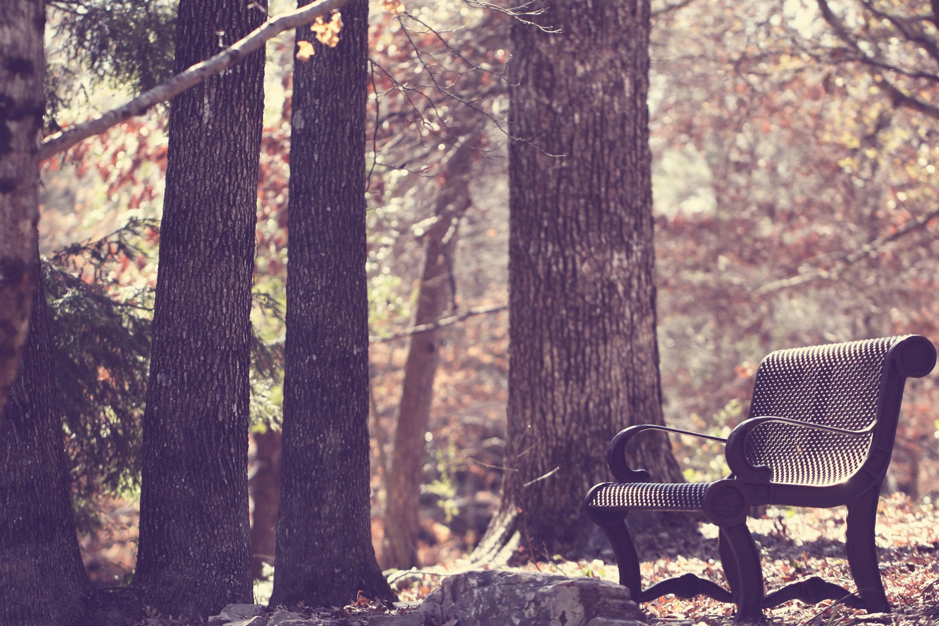 自然,风光,风景,秋天,秋意正浓