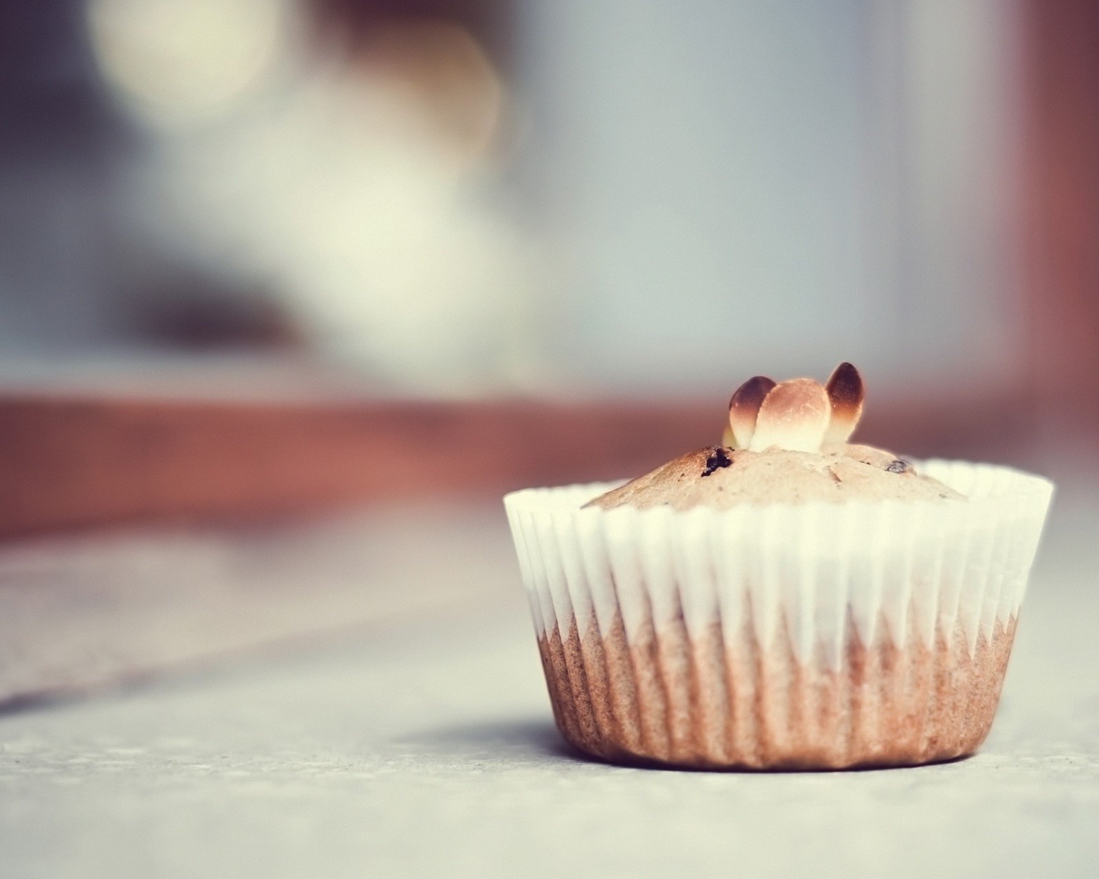 小清新,唯美,浪漫,温暖,温馨,干净,治愈系,慢生活,治愈,美好,美食,食物,吃的,蛋糕