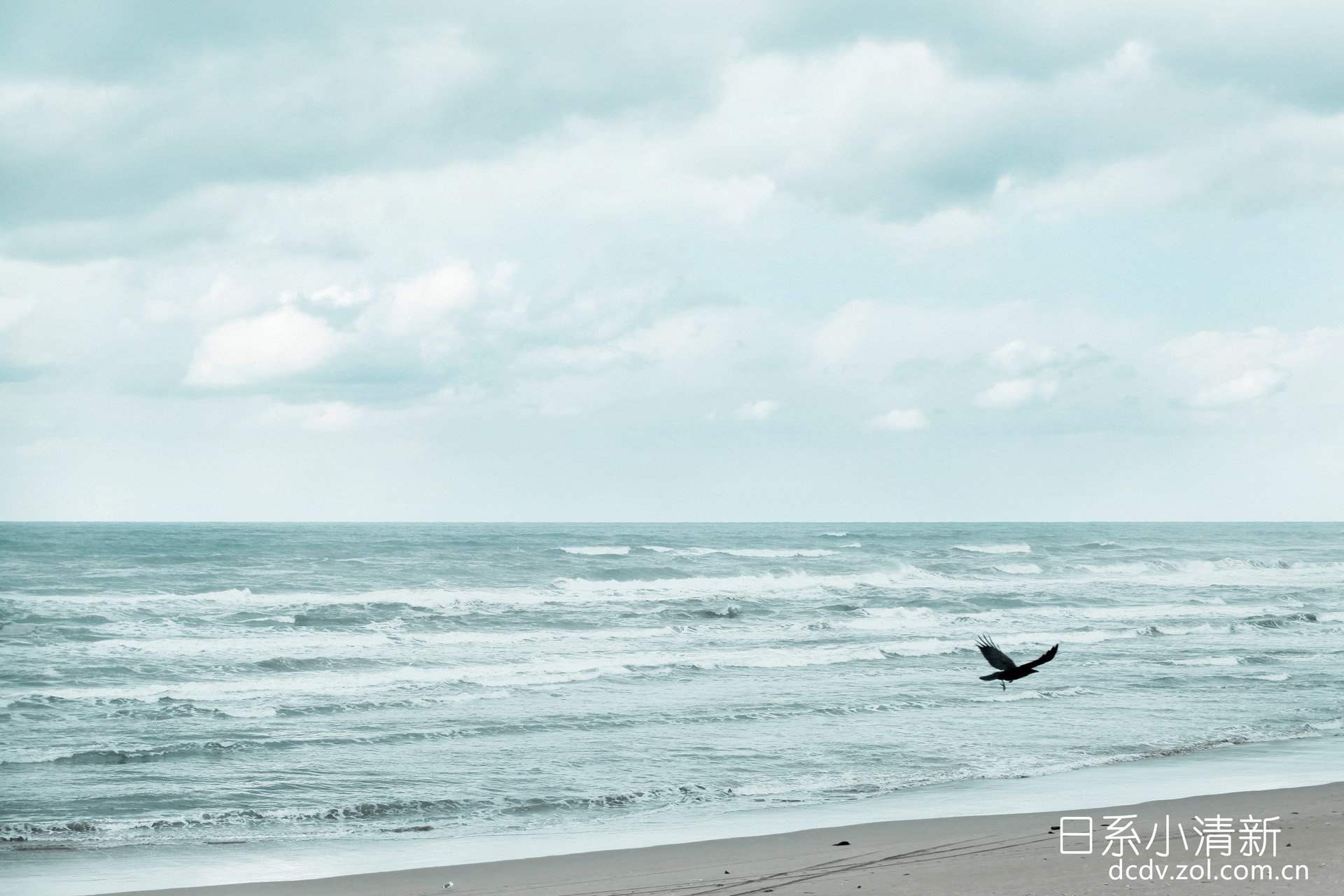 小清新,唯美,温馨,温暖,阳光,治愈系,安静,生活,慢生活,清新淡雅,温馨一刻,日系小清新,海边