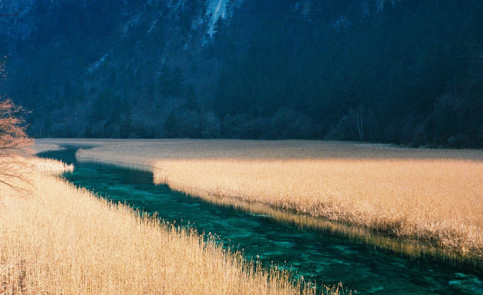 自然,风光,风景,河水,唯美