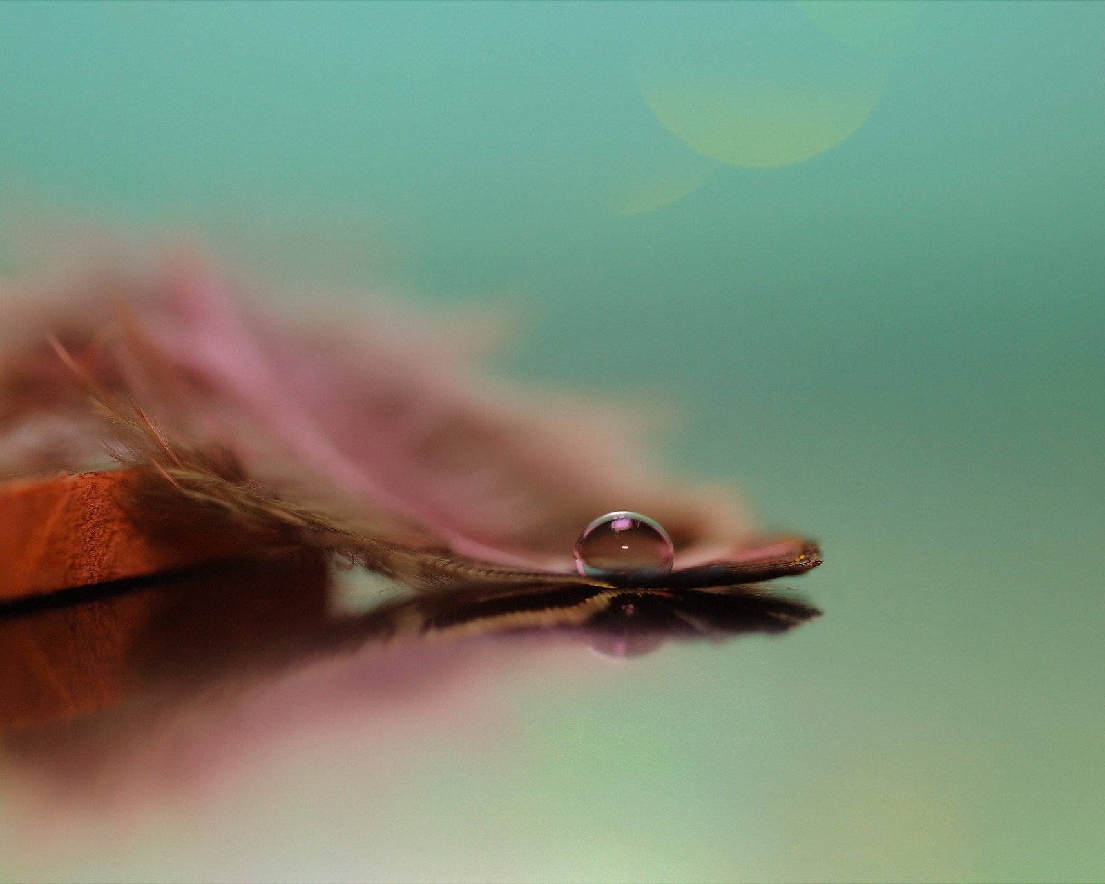 小清新,清新,唯美,物语,静物,治愈系,温暖,慢生活