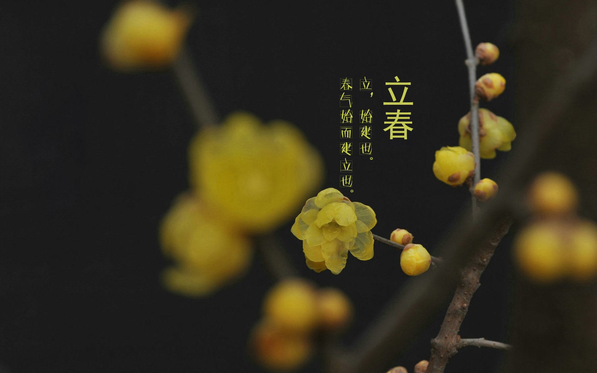 二十四节气,24节气,节气,风景,自然,风光,节日,立春