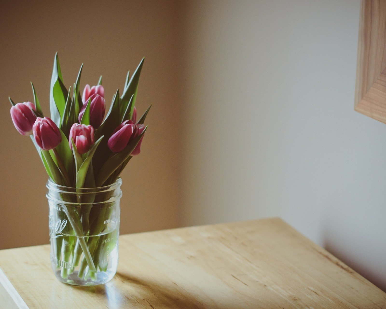 唯美,清新,小清新,温馨一刻,静物写真,物语,温暖,安静,桌子,花瓶,花朵