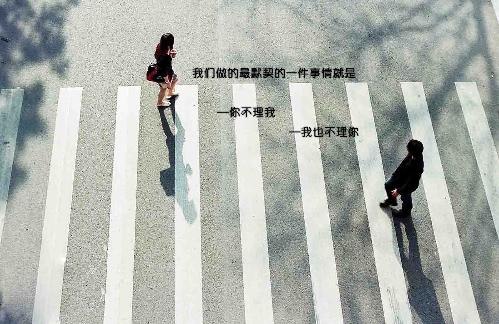情感,温馨,文字控,心事,治愈,斑马线,十字路口,相遇,人行横道