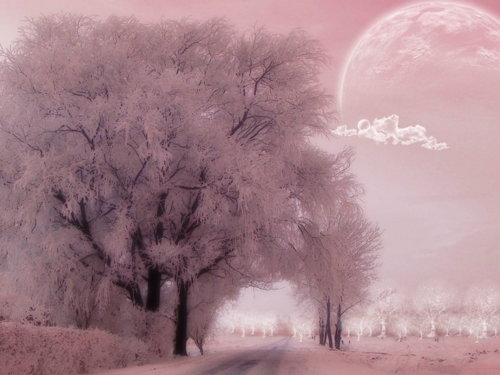 自然,风景,树,唯美,意境,孤单,来生要做一棵树