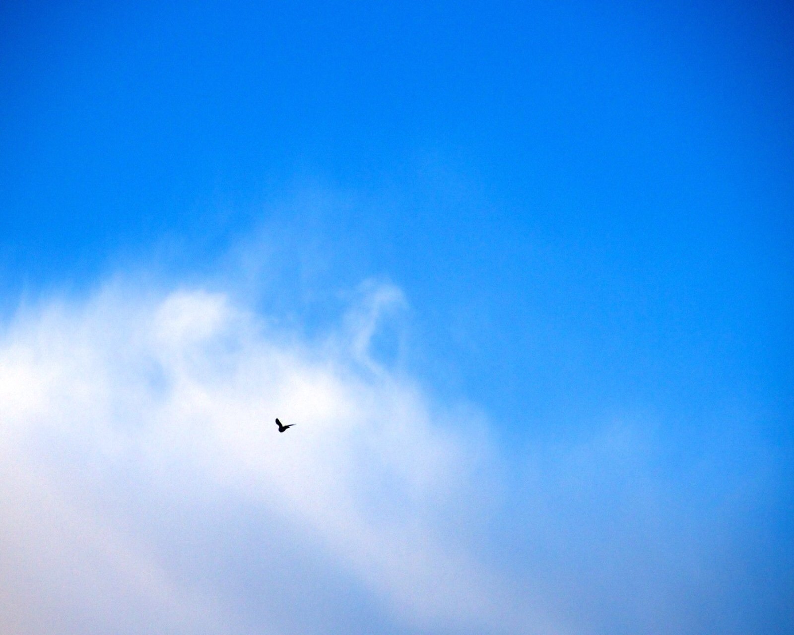 风景,自然,风光,天空,白云,蓝天,唯美