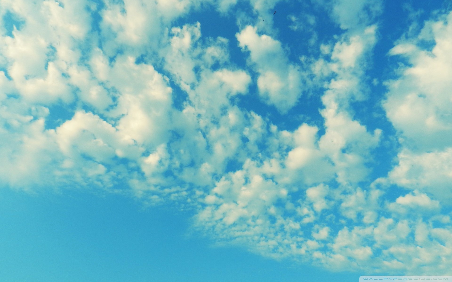 天空,唯美,蓝天白云,晴朗,清新,意境,温暖,安静,晴天,等风来