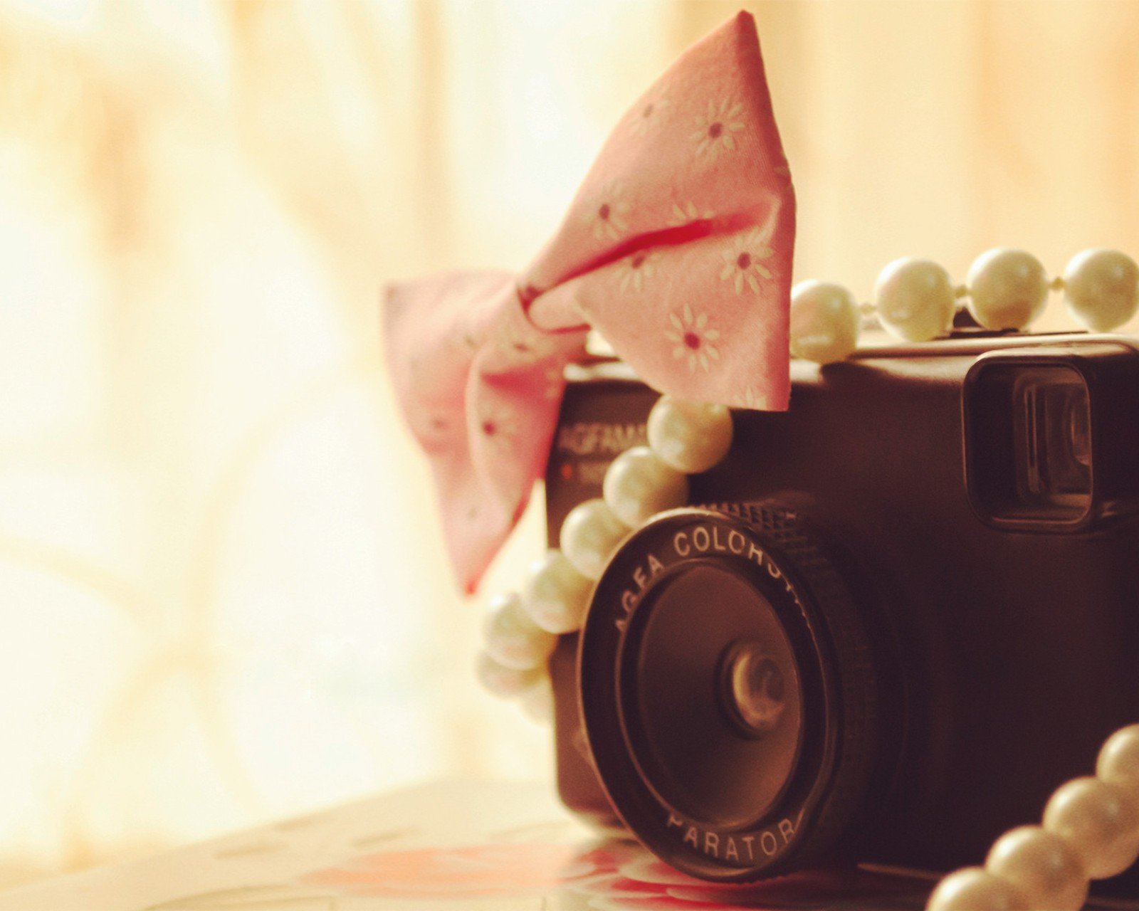 小清新,清新,唯美,物语,静物,治愈系,温暖,慢生活,相机,蝴蝶结