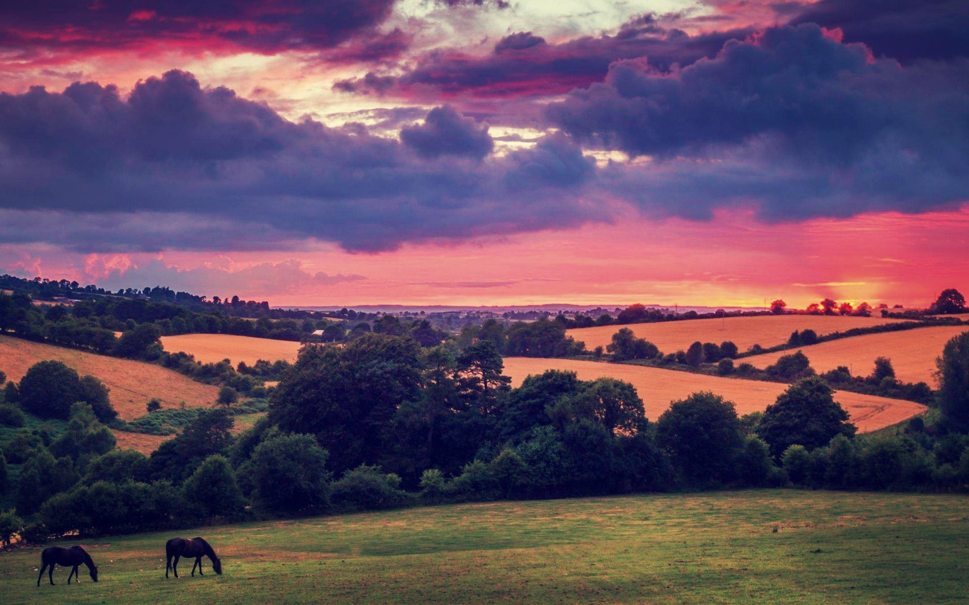 风景,自然风光,唯美,意境,在季节的转角处,草原,夕阳,落日余晖,马