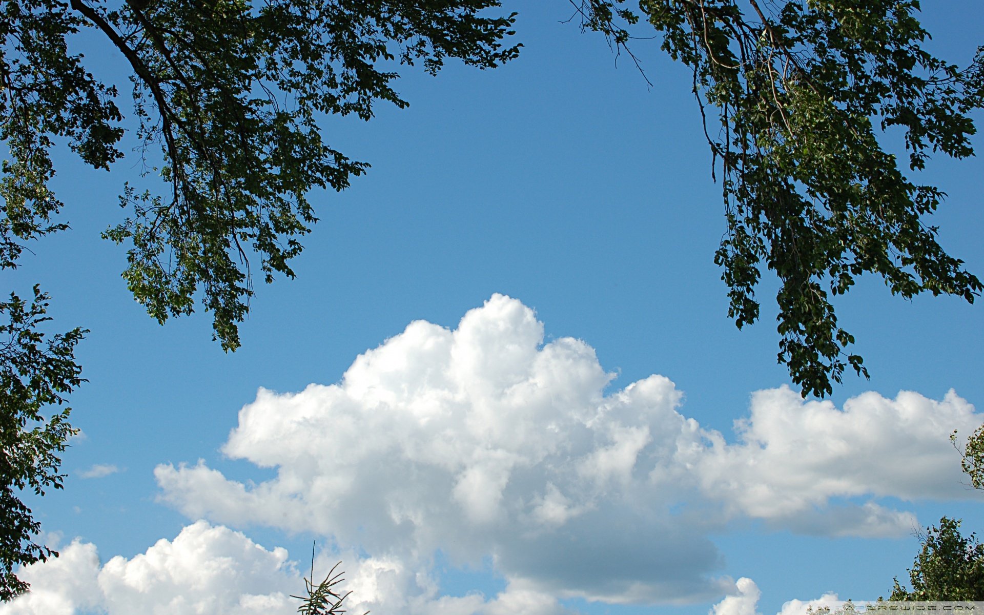 天空,唯美,蓝天白云,晴朗,清新,意境,温暖,安静,晴天,等风来