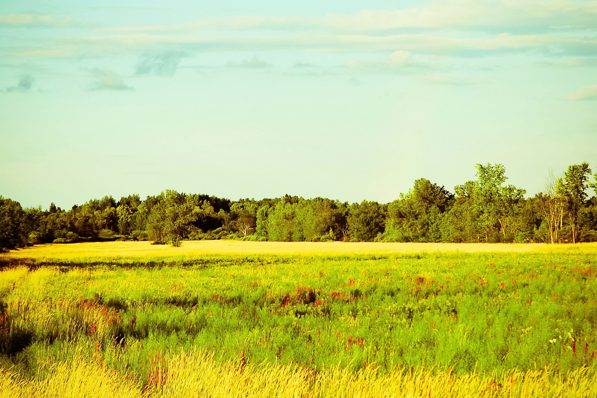 自然,风光,风景,落日余晖,夕阳,黄昏,傍晚,唯美