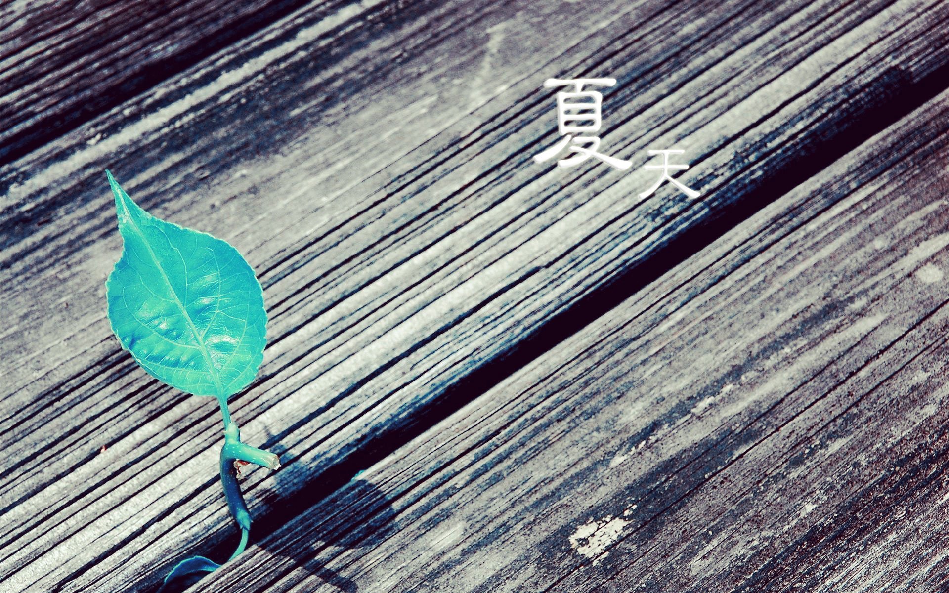 小清新,唯美,浪漫,温暖,温馨,干净,治愈系,慢生活,治愈,美好,风景,夏天,夏了夏天,蓝天白云,阳光,lomo,树叶,孤单,文字