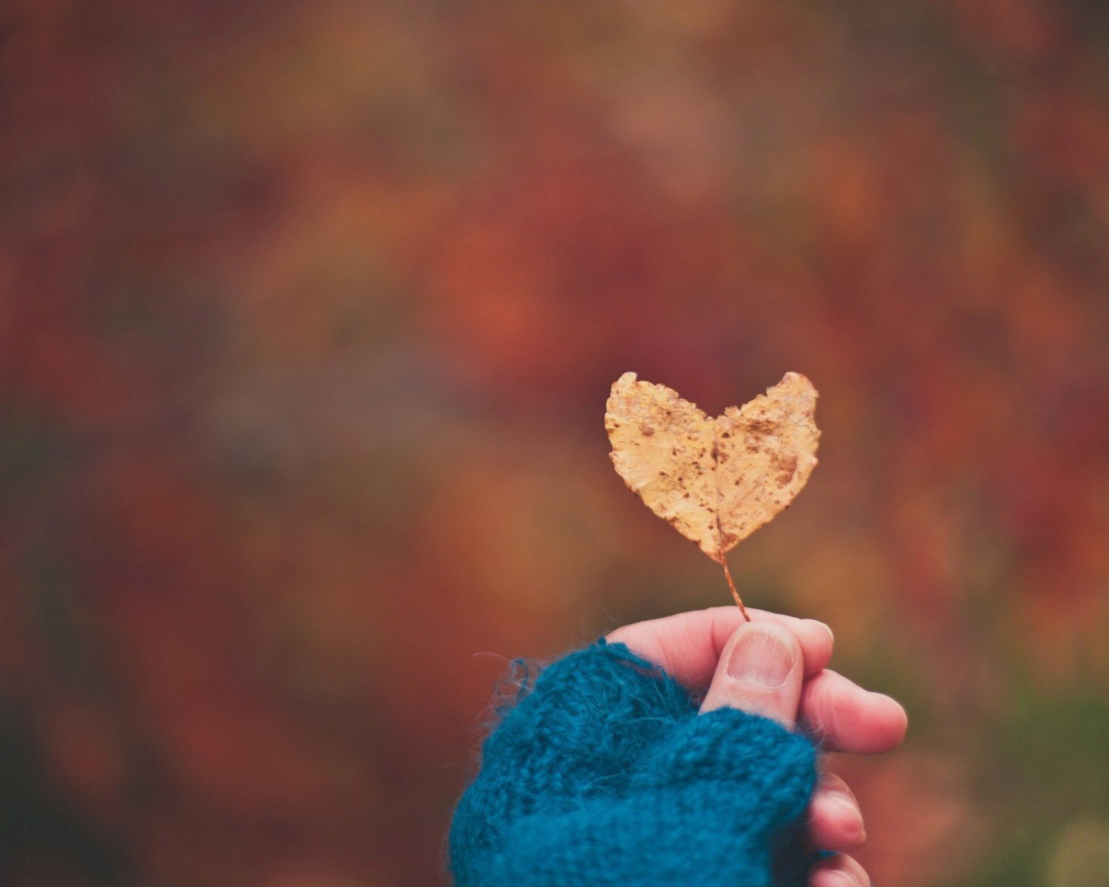 不合时宜的牵挂,浪漫,爱情,情感,心,love,温馨,清新,手,叶子