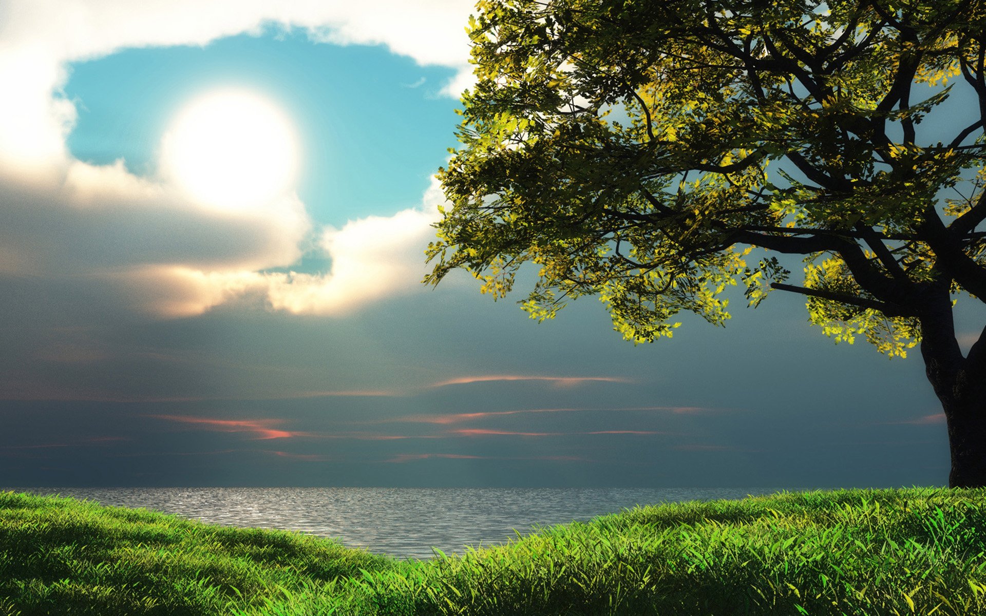 风景,自然风光,唯美,意境,在季节的转角处,树,草地,绿色,蓝天白云