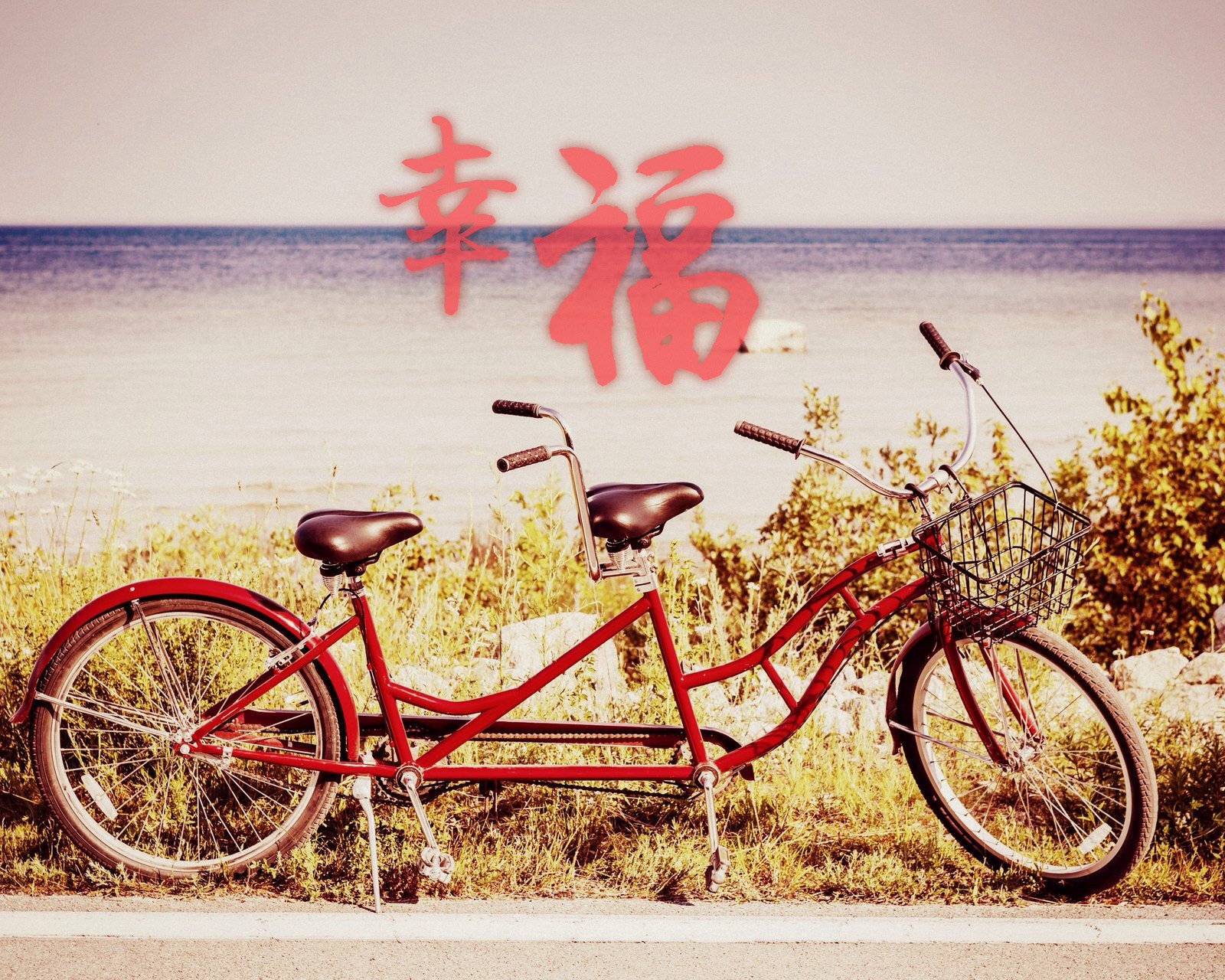 情感,温馨,文字控,心事,治愈,自行车,幸福