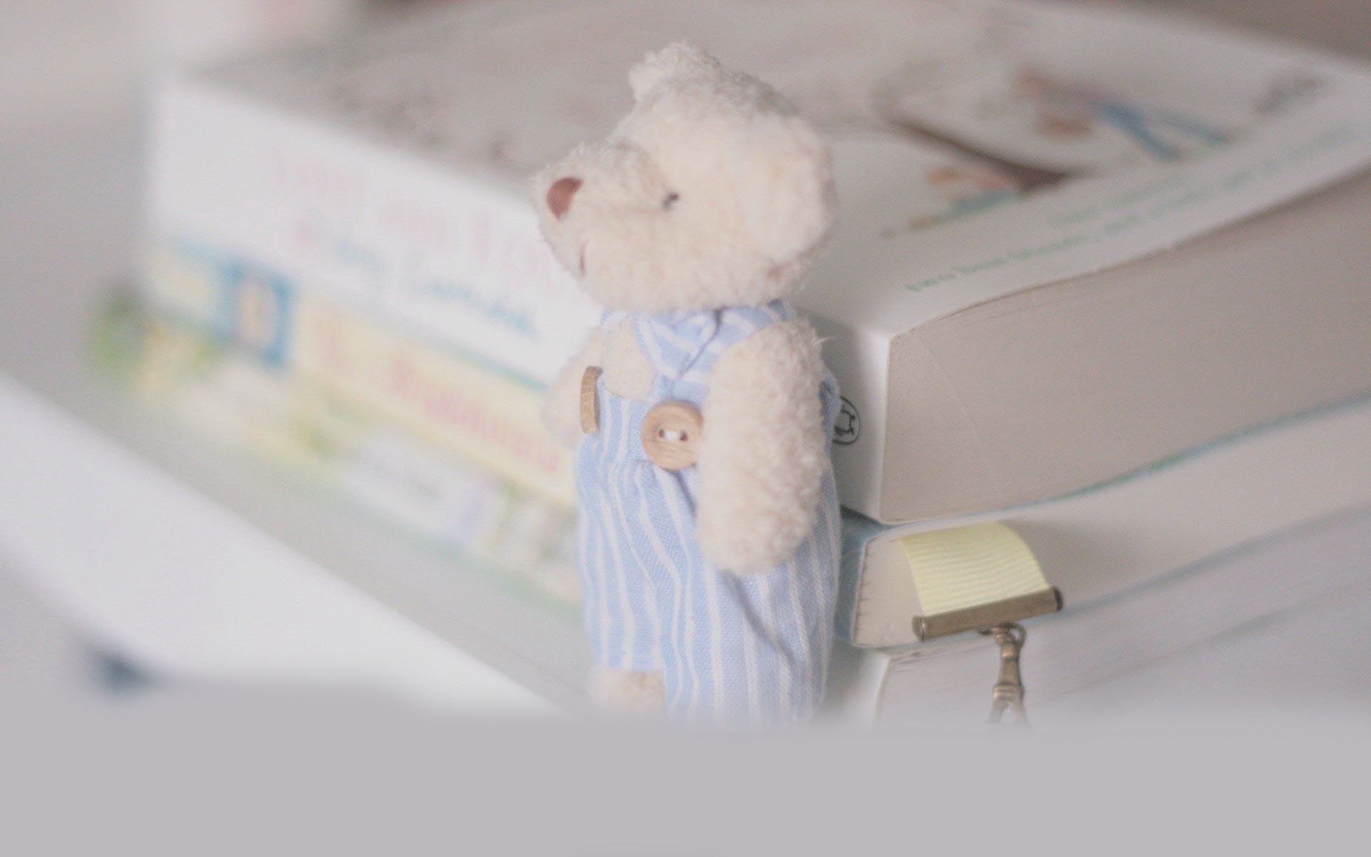 小清新,唯美,浪漫,温暖,温馨,干净,治愈系,慢生活,治愈,美好,走不出的回忆,熊,静物,物语