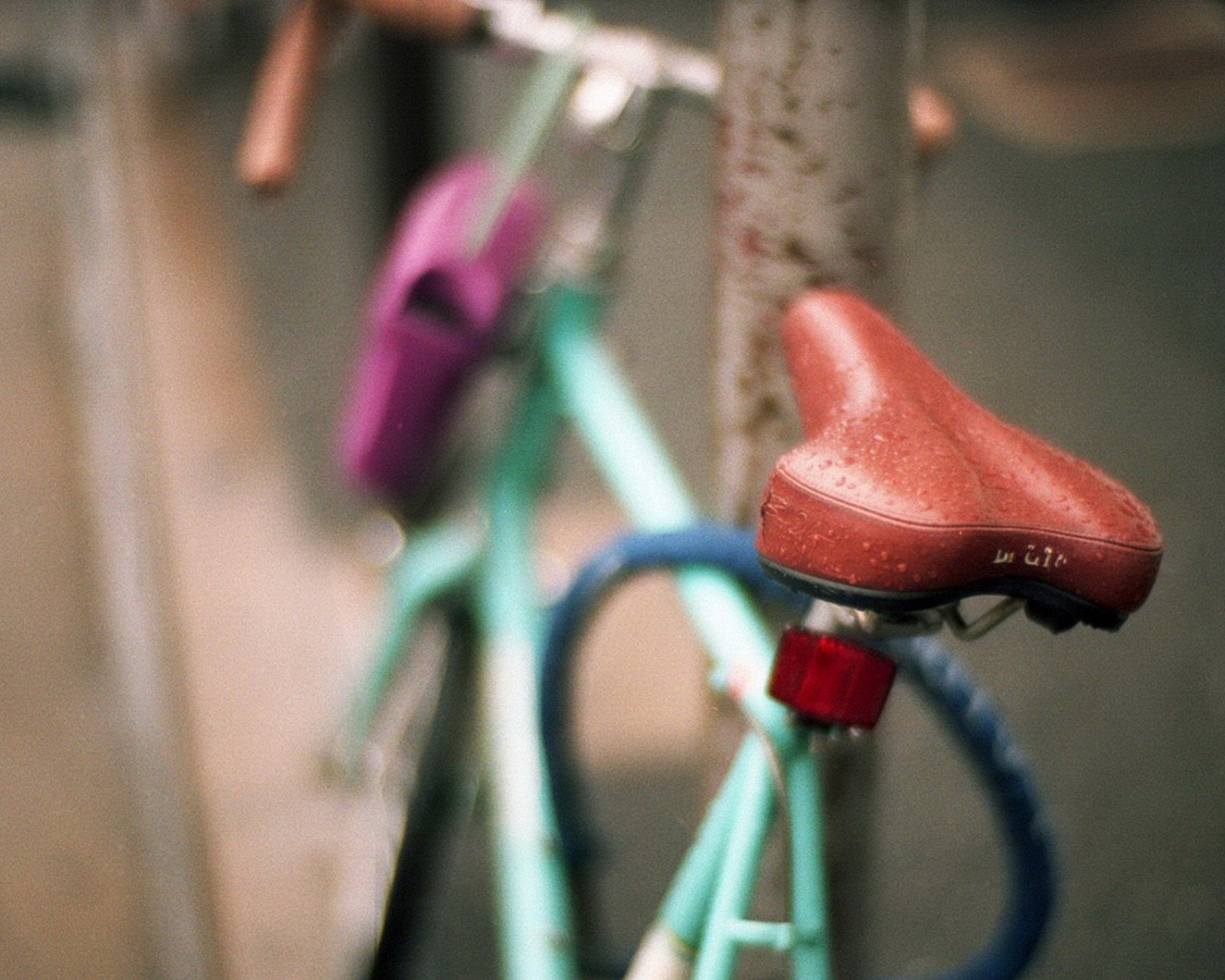 小清新,清新,唯美,物语,静物,治愈系,温暖,慢生活,自行车