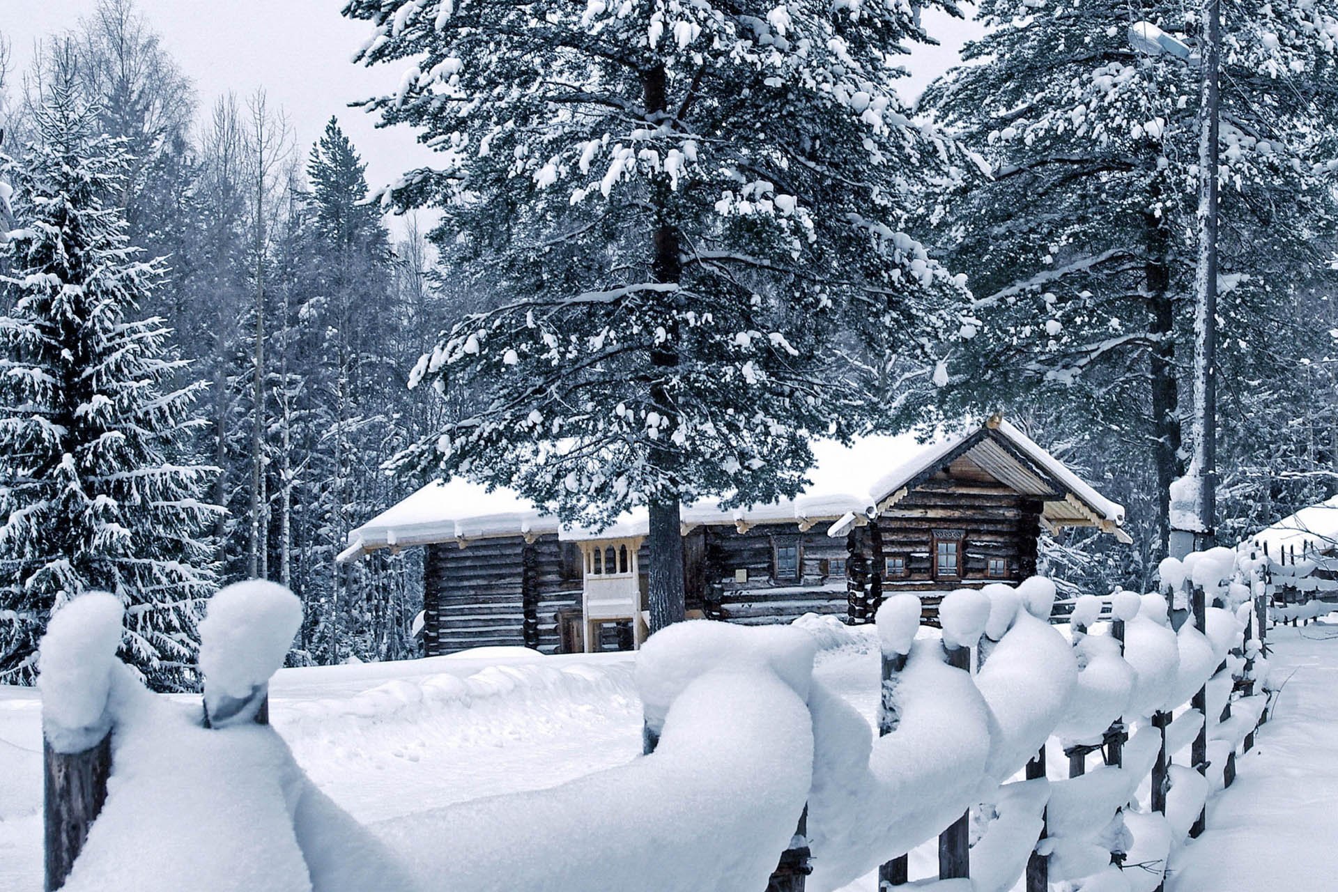 自然,风光,风景,冰天雪地,雪,冬天,冷,寒冷