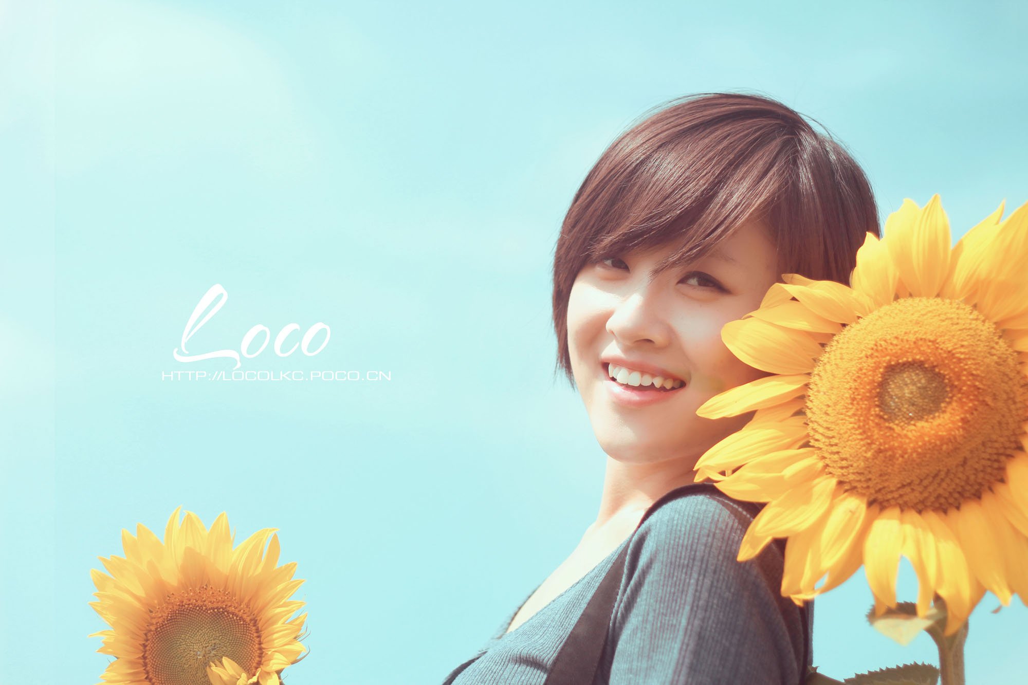 小清新,唯美,温馨,温暖,阳光,绿色养眼,自然,清新淡雅,花,春天,花团锦簇,向日葵