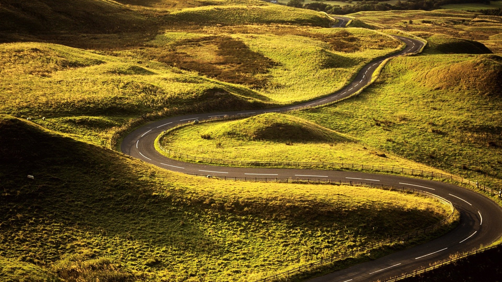 自然,风光,风景,路,前方,方向,前进