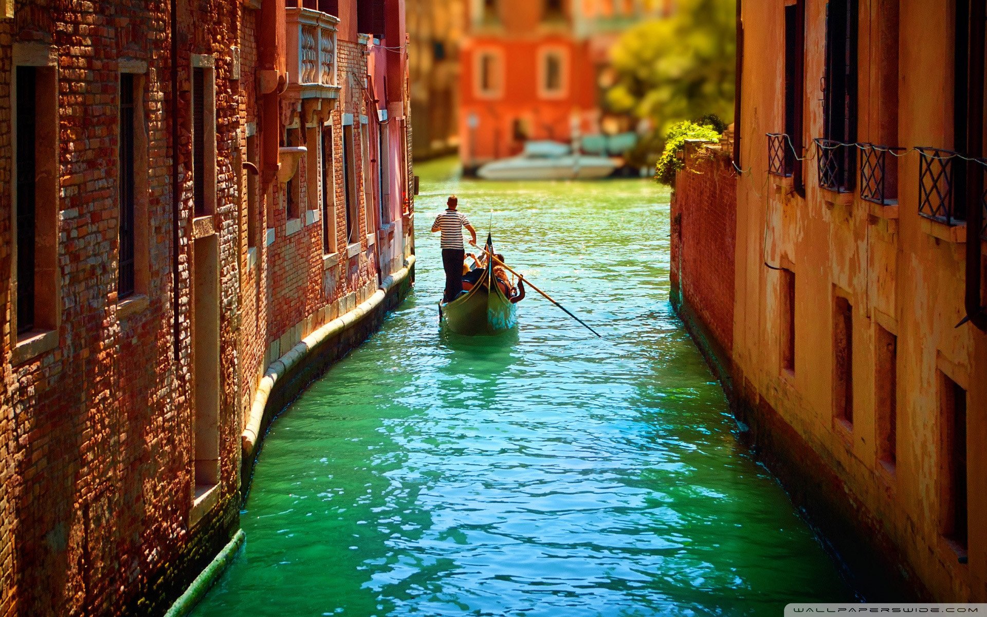 威尼斯,旅游胜地,自然,风光,城市,水城,河水,船