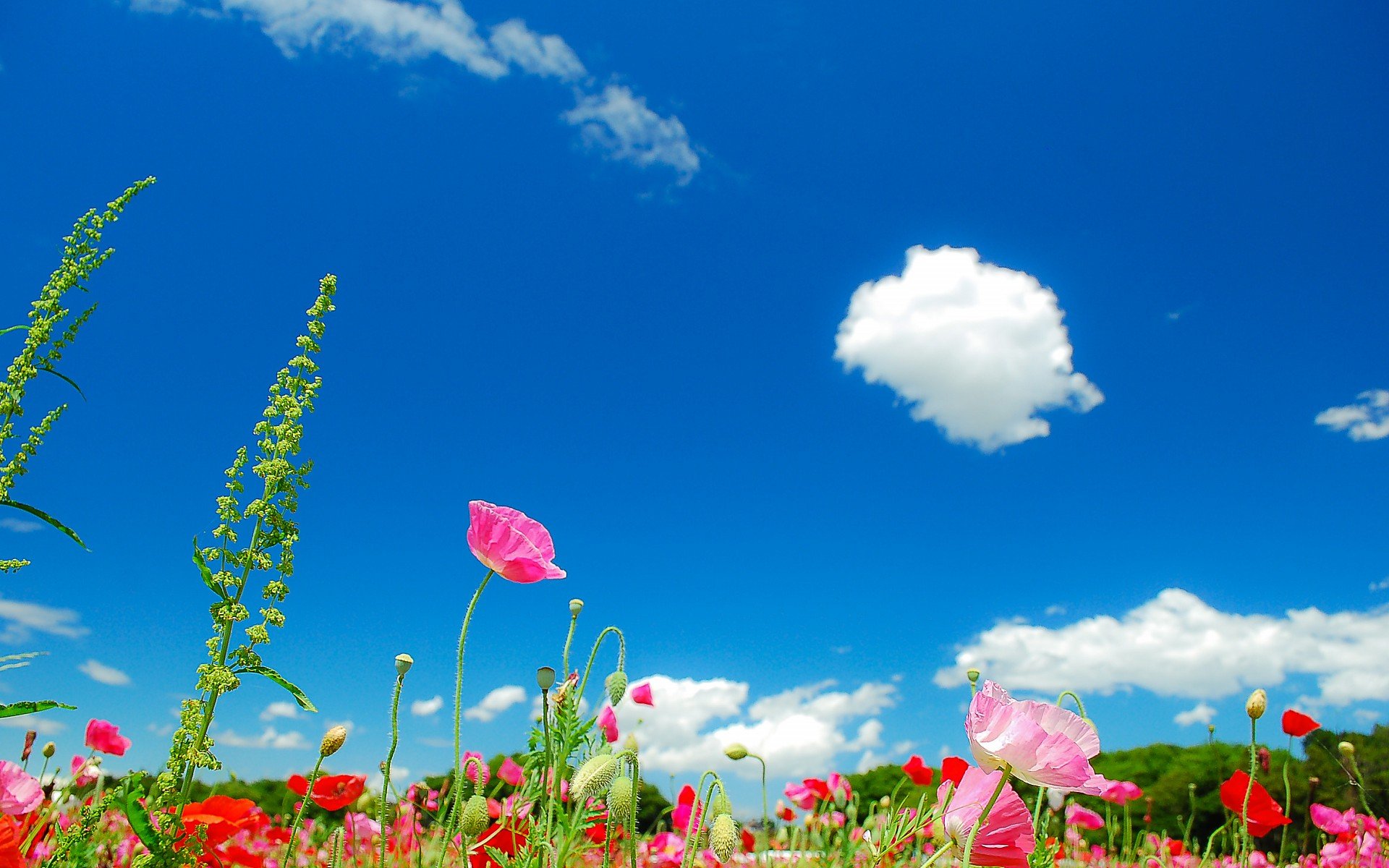 天空,唯美,蓝天白云,晴朗,清新,意境,温暖,安静,晴天,等风来