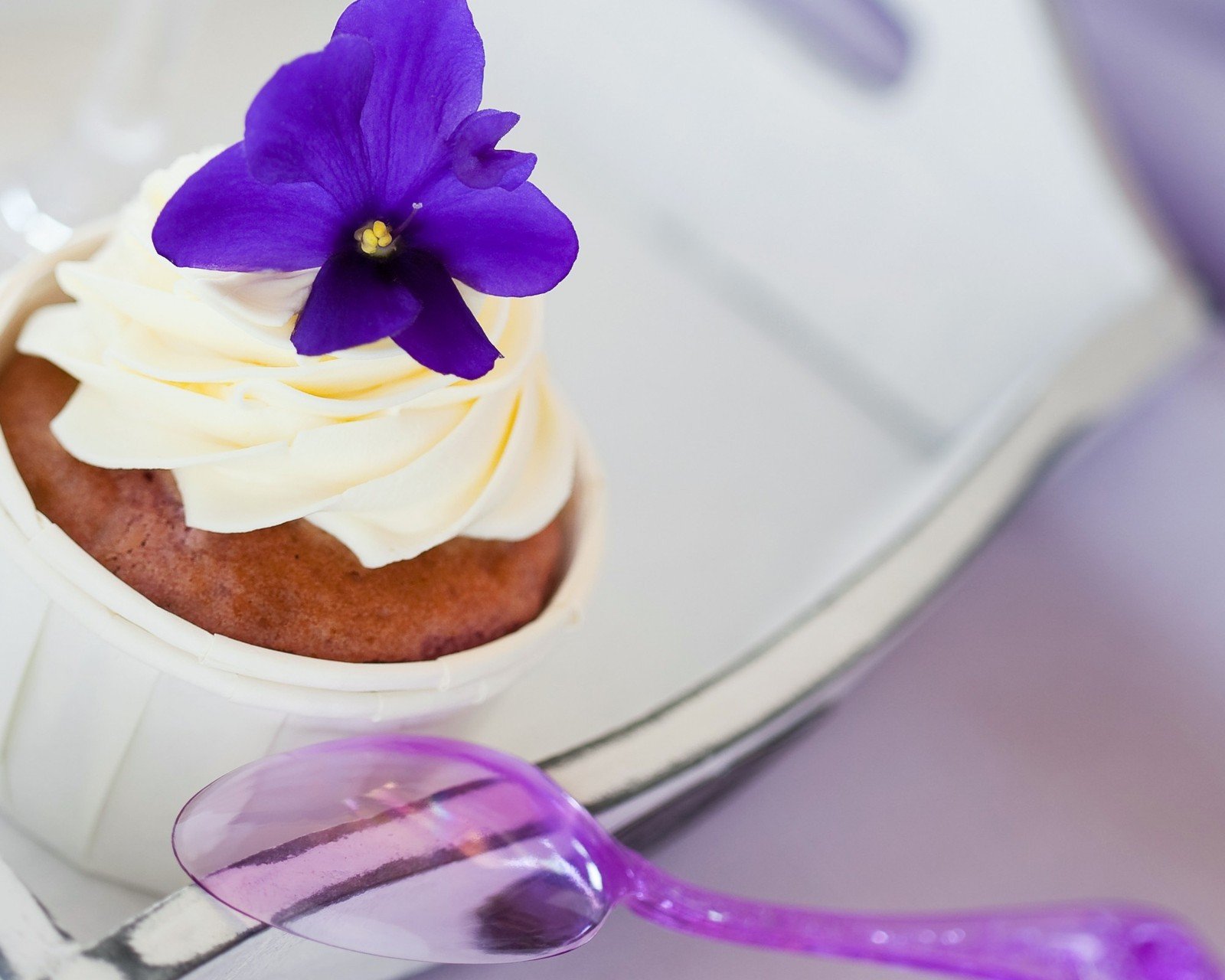 小清新,清新,唯美,物语,静物,治愈系,温暖,慢生活,蛋糕