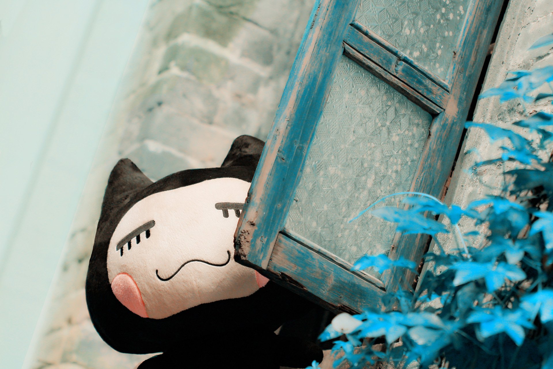 小清新,唯美,温馨,温暖,阳光,治愈系,安静,生活,慢生活,清新淡雅,温馨一刻,窗外