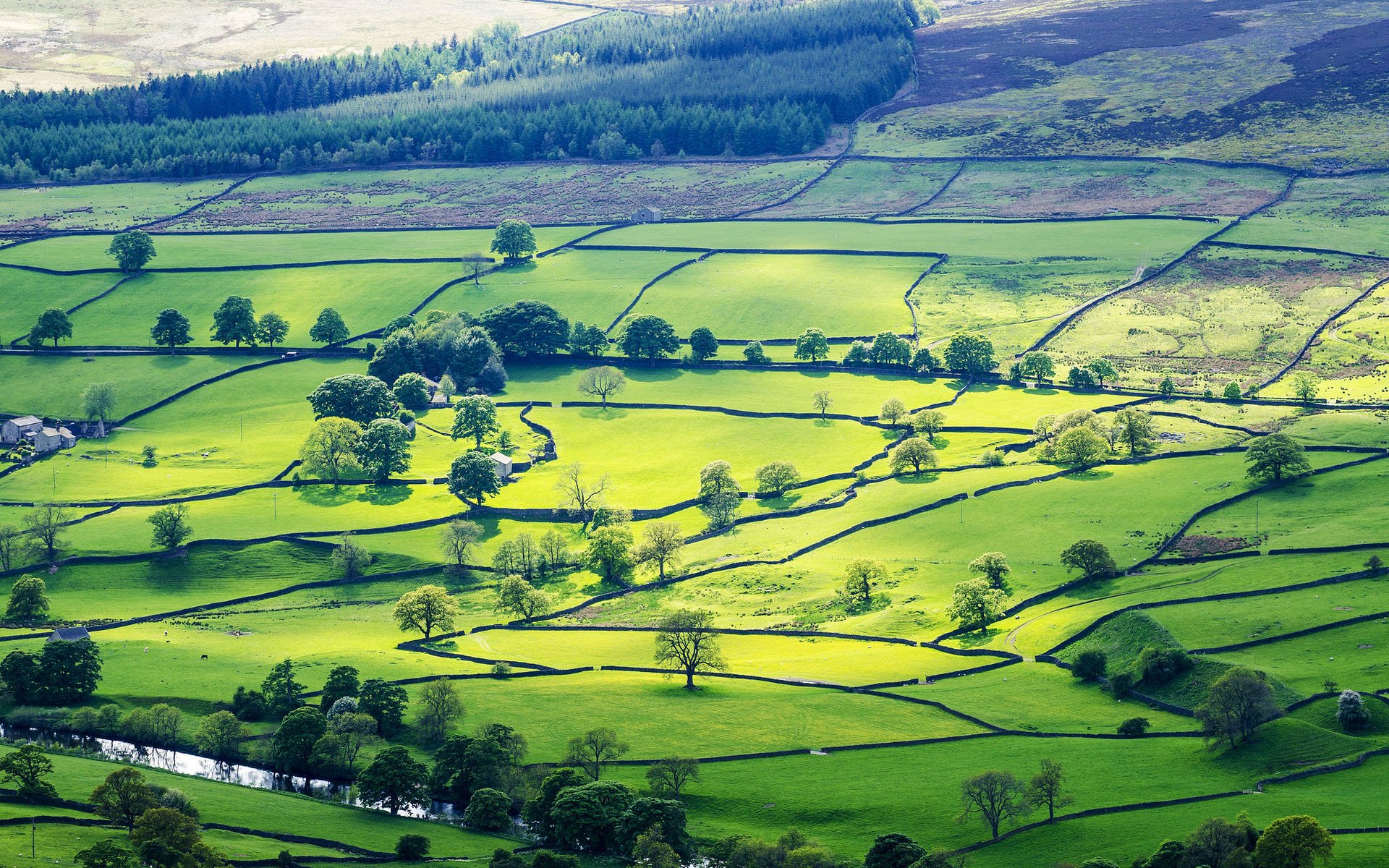 风景,自然风光,唯美,意境,在季节的转角处,平原,草地,绿色,养眼,村庄,安静