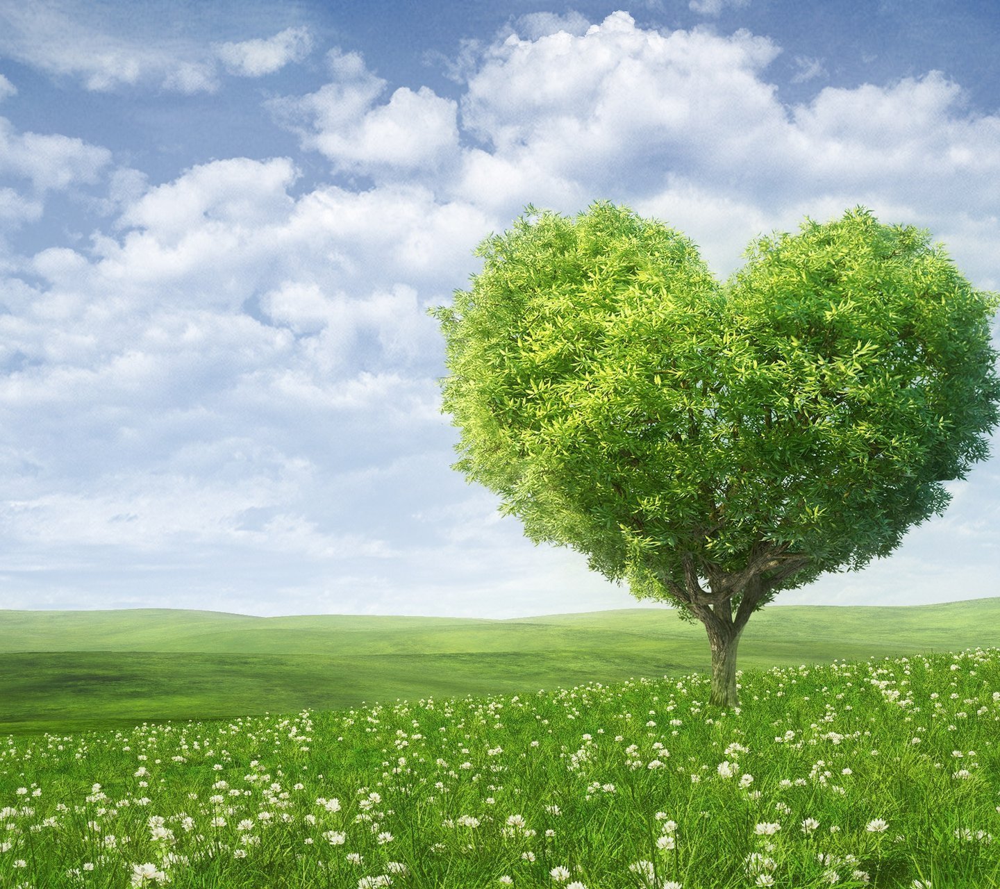 植树节,来生要做一棵树,风景,自然