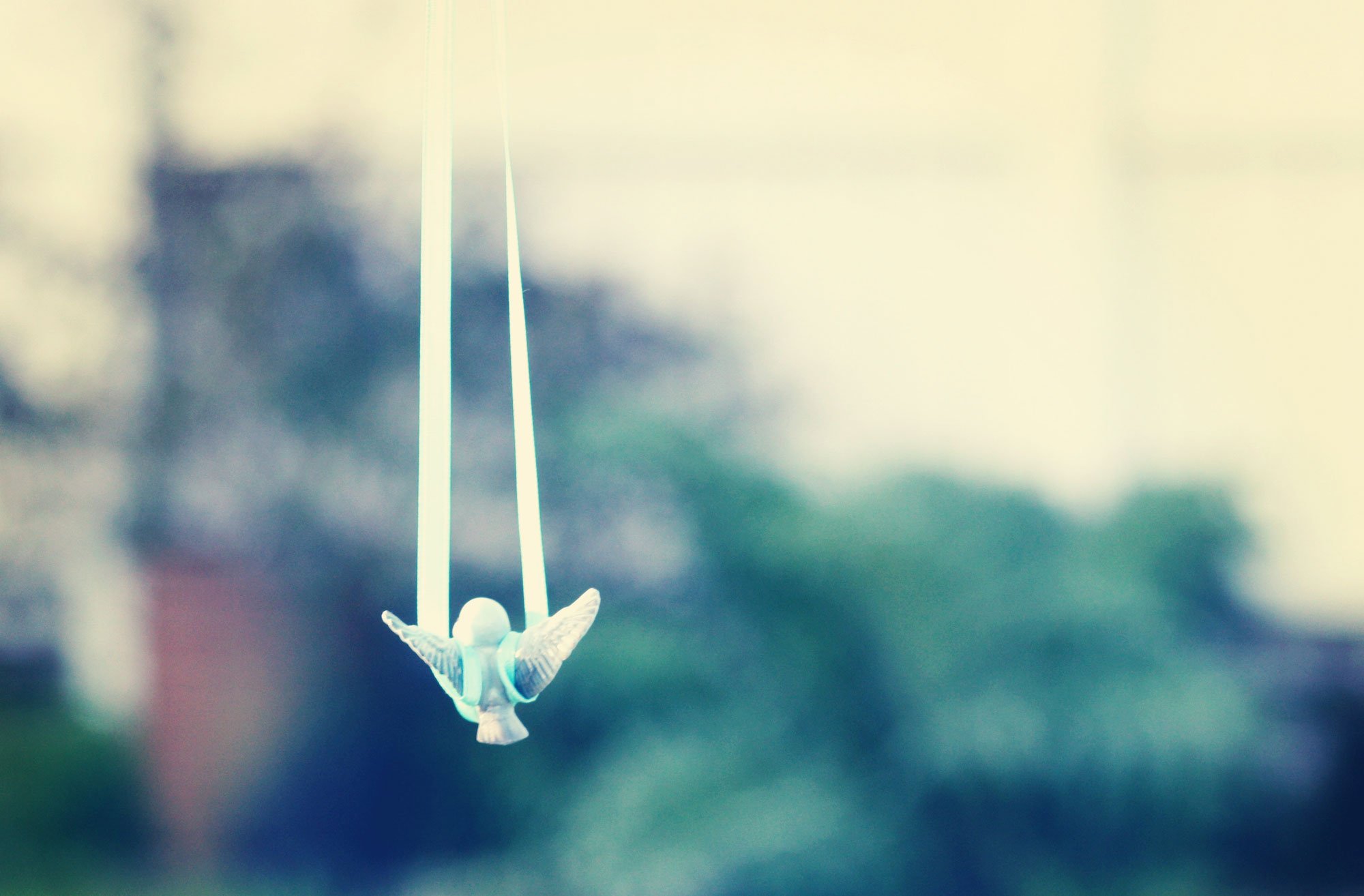 小清新,唯美,浪漫,温暖,温馨,干净,治愈系,慢生活,治愈,美好,走不出的回忆,鸟,静物,物语