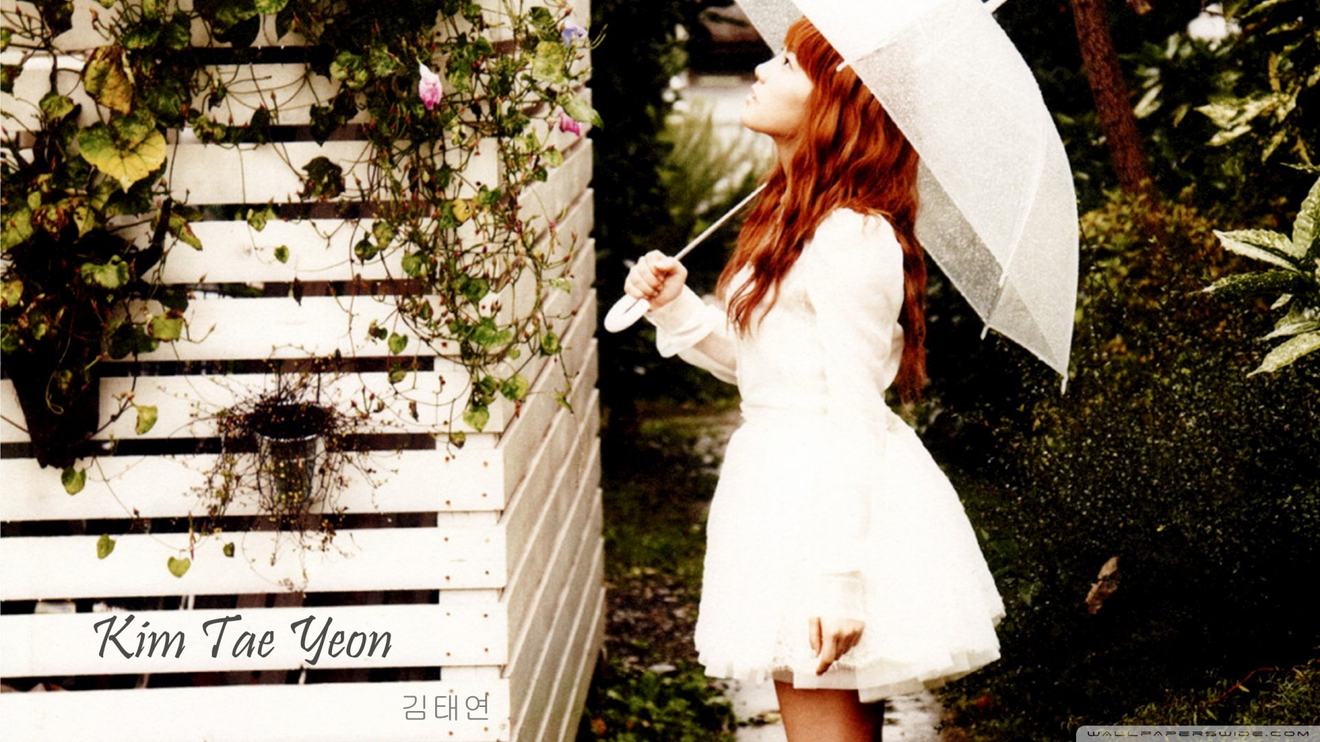 小清新,唯美,温馨,温暖,阳光,治愈系,安静,生活,慢生活,清新淡雅,温馨一刻,孤单,寂寞,离开,等待,伤感,一个人