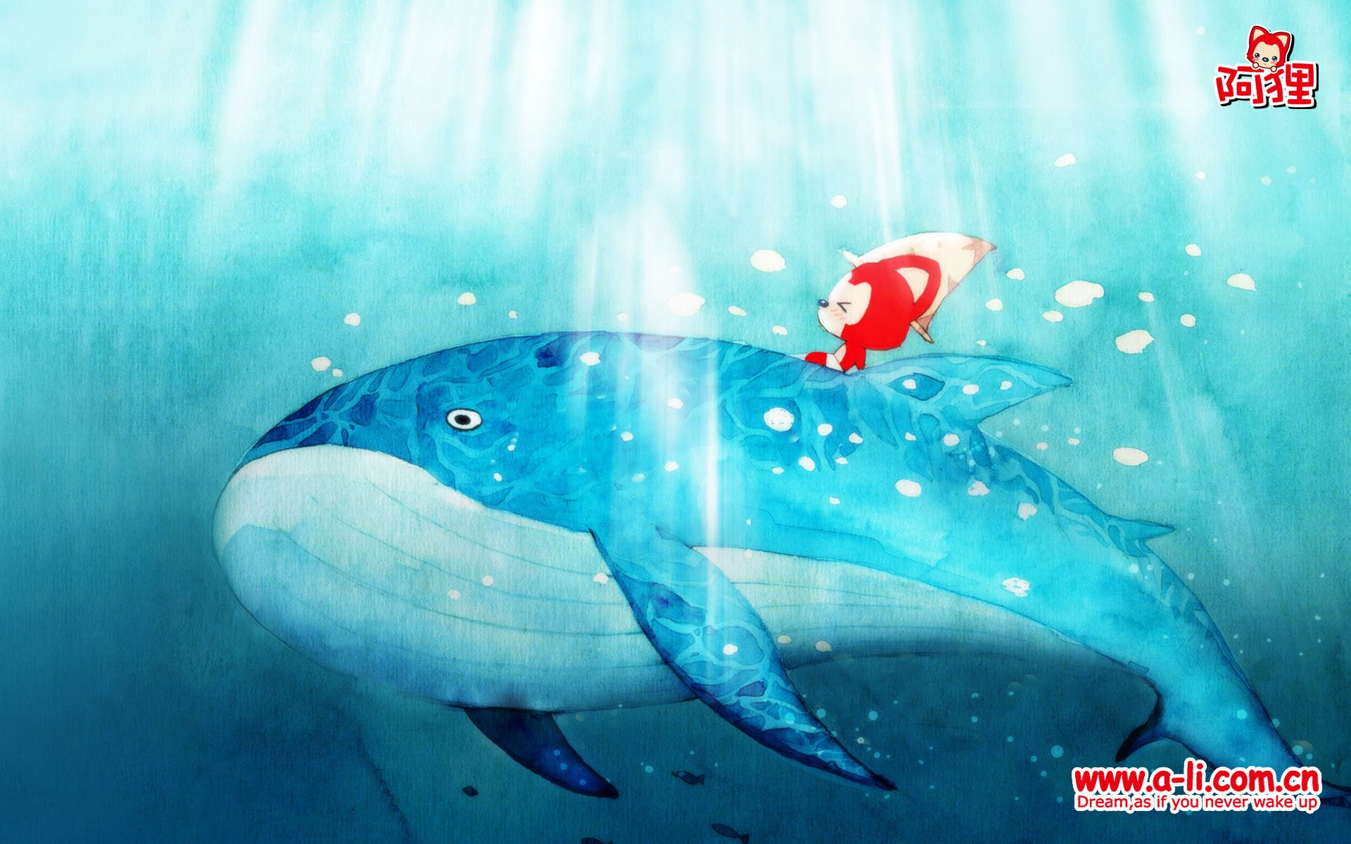 动漫,卡通,手绘,阿狸,狐狸