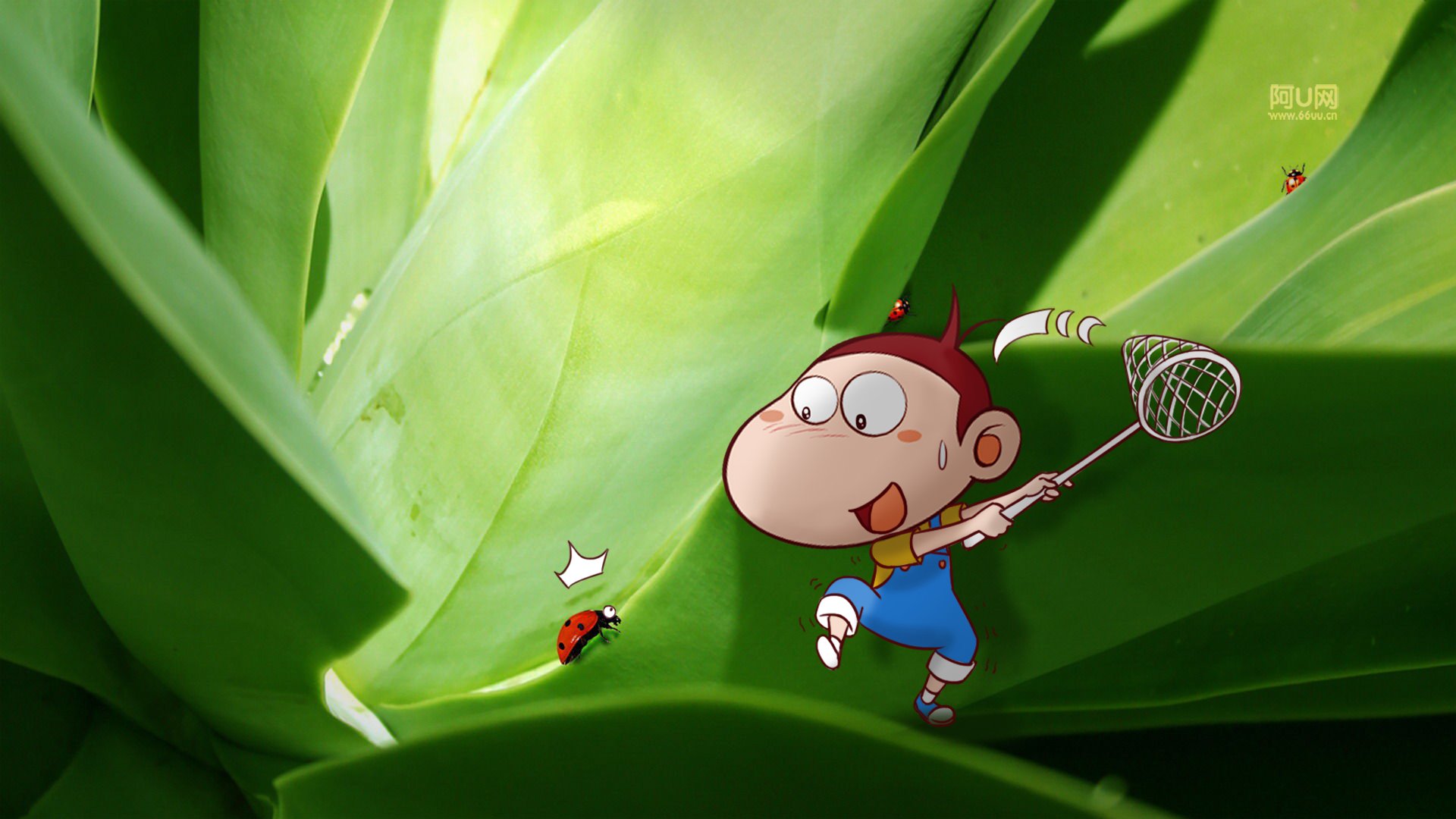 动漫卡通,手绘,阿U,阿U的旅行日记