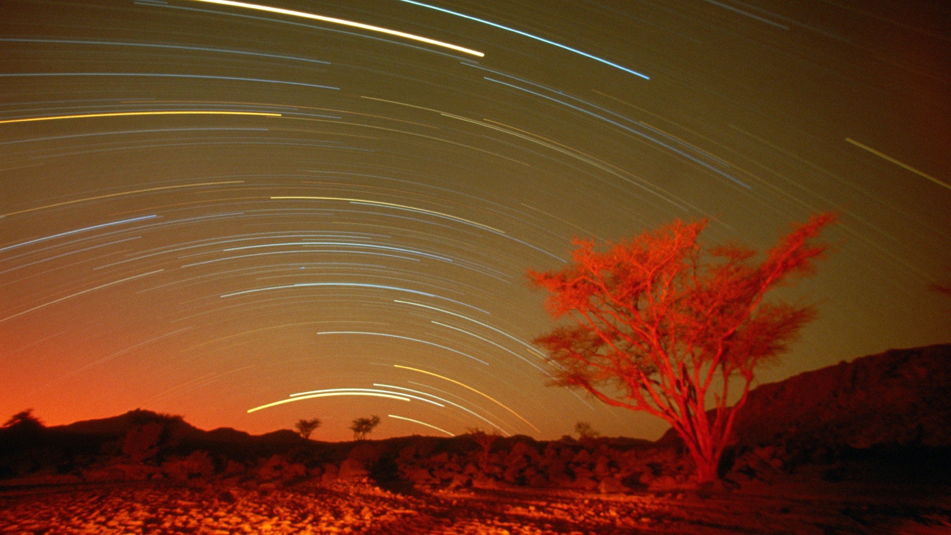 转瞬即逝的美丽,流星,夜晚,天空,星星,繁星
