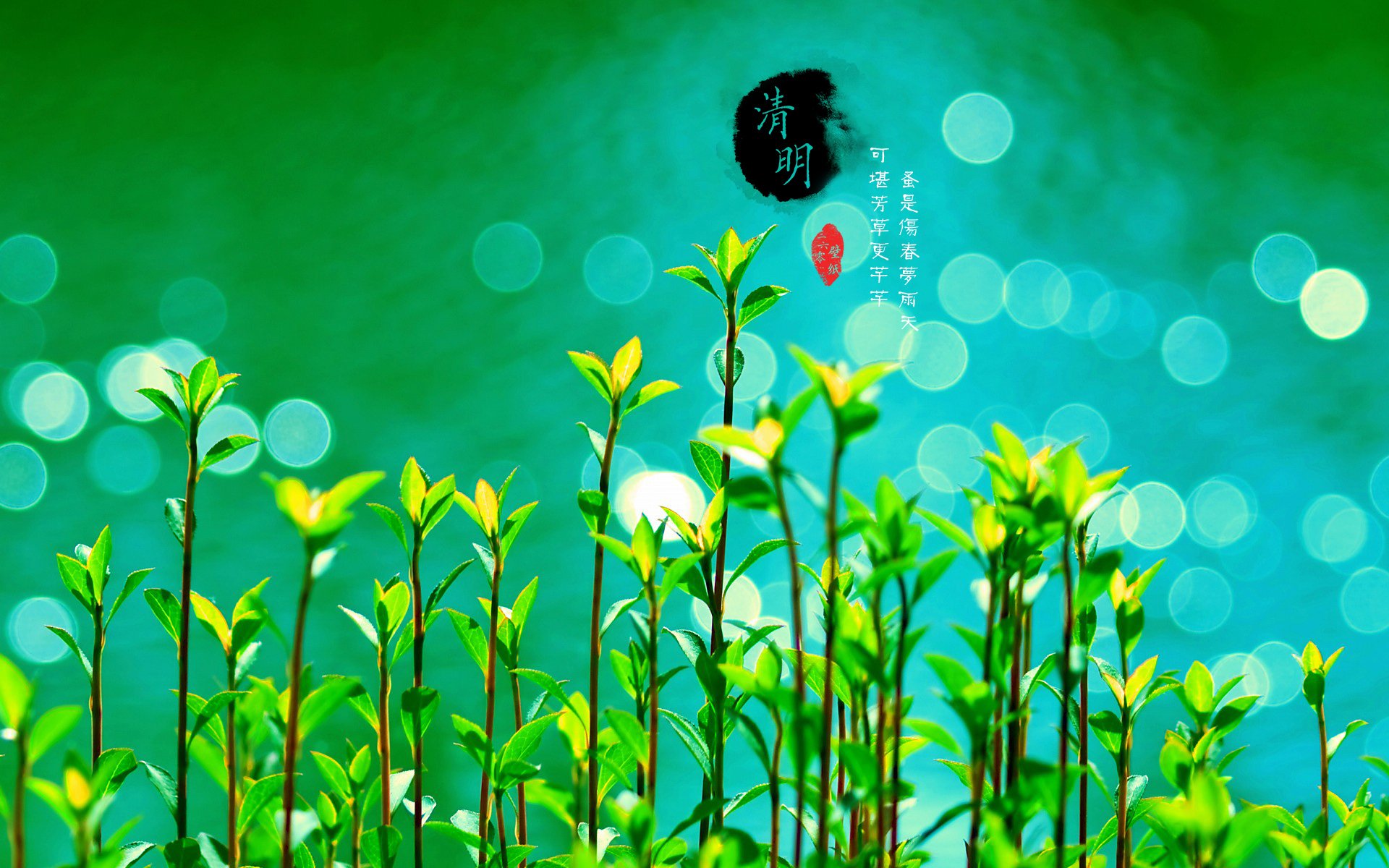 清明节,古风,古诗,诗句,意境,节气,24节气,二十四节气,@姑凉_你又瘦了