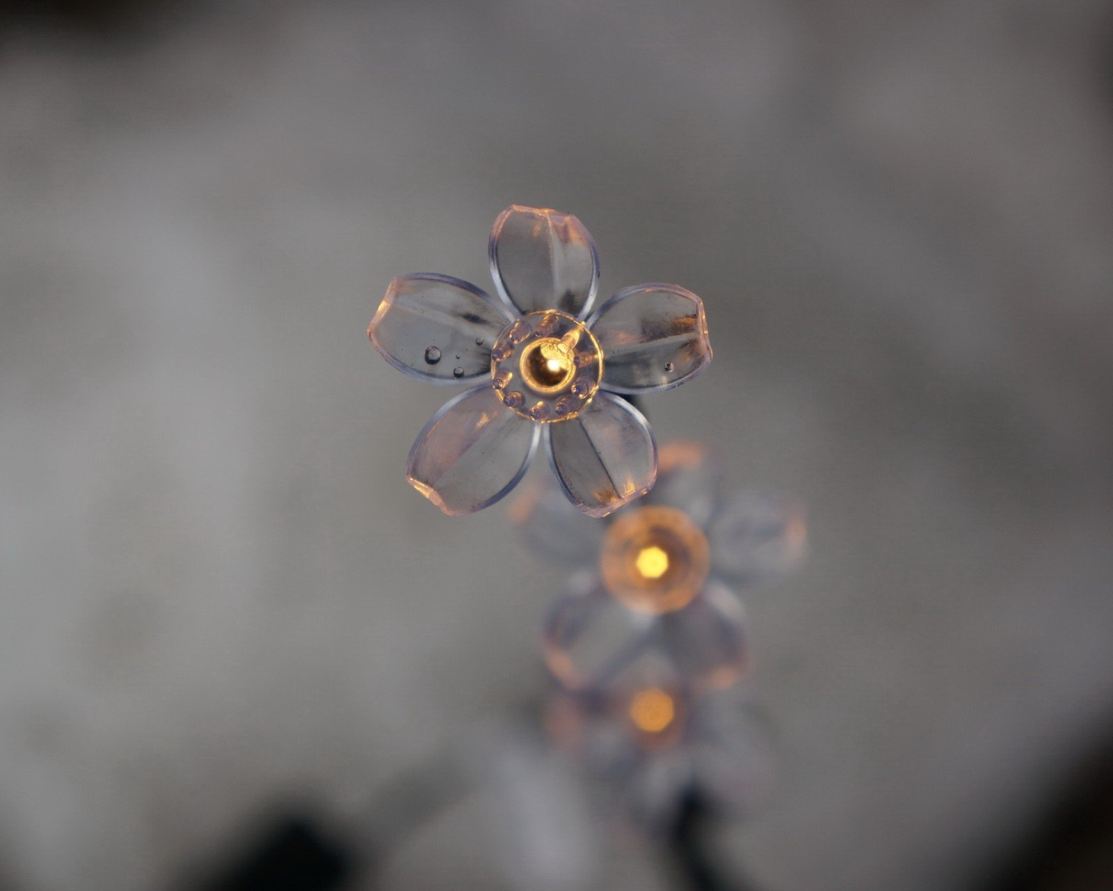 小清新,清新,唯美,物语,静物,治愈系,温暖,慢生活,花